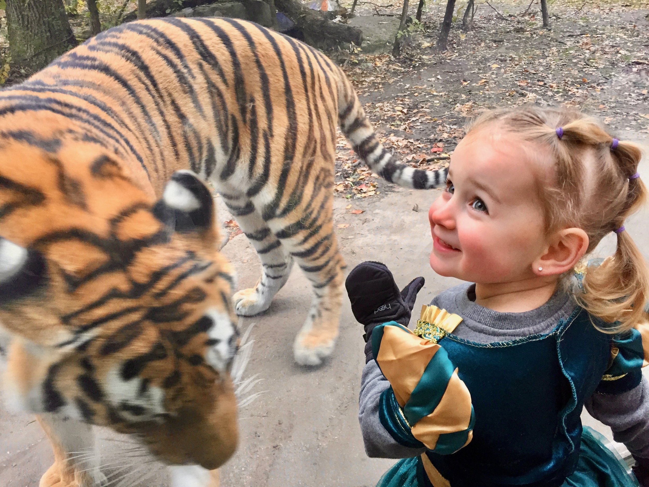 John Ball Zoo Tiger Exhibit.jpg