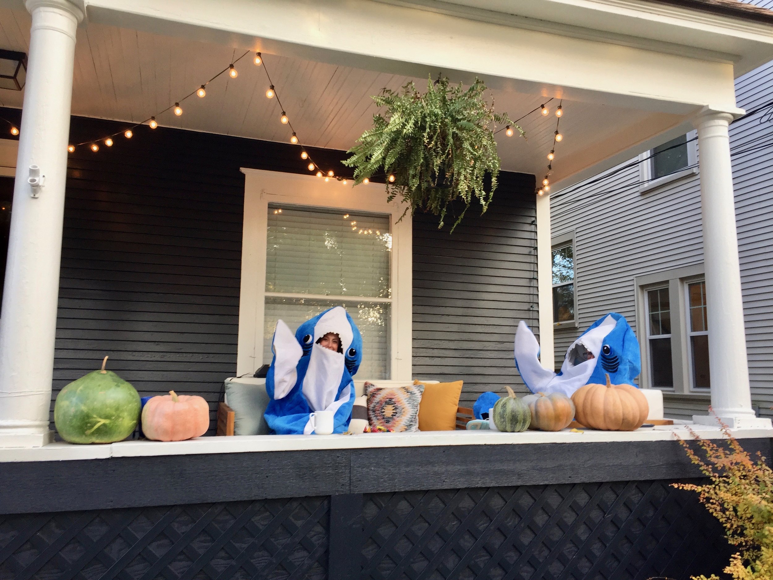 Halloween on Rosewood Sharks.jpg