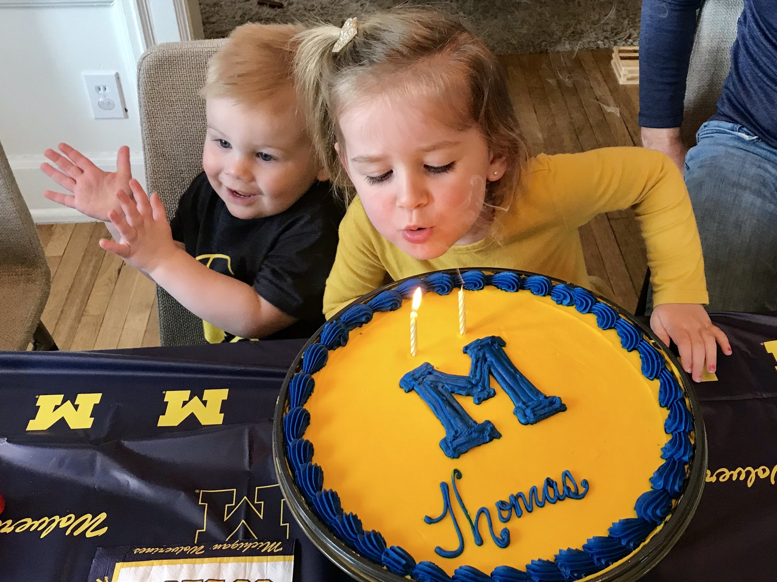 Michigan Birthday Cake.jpeg