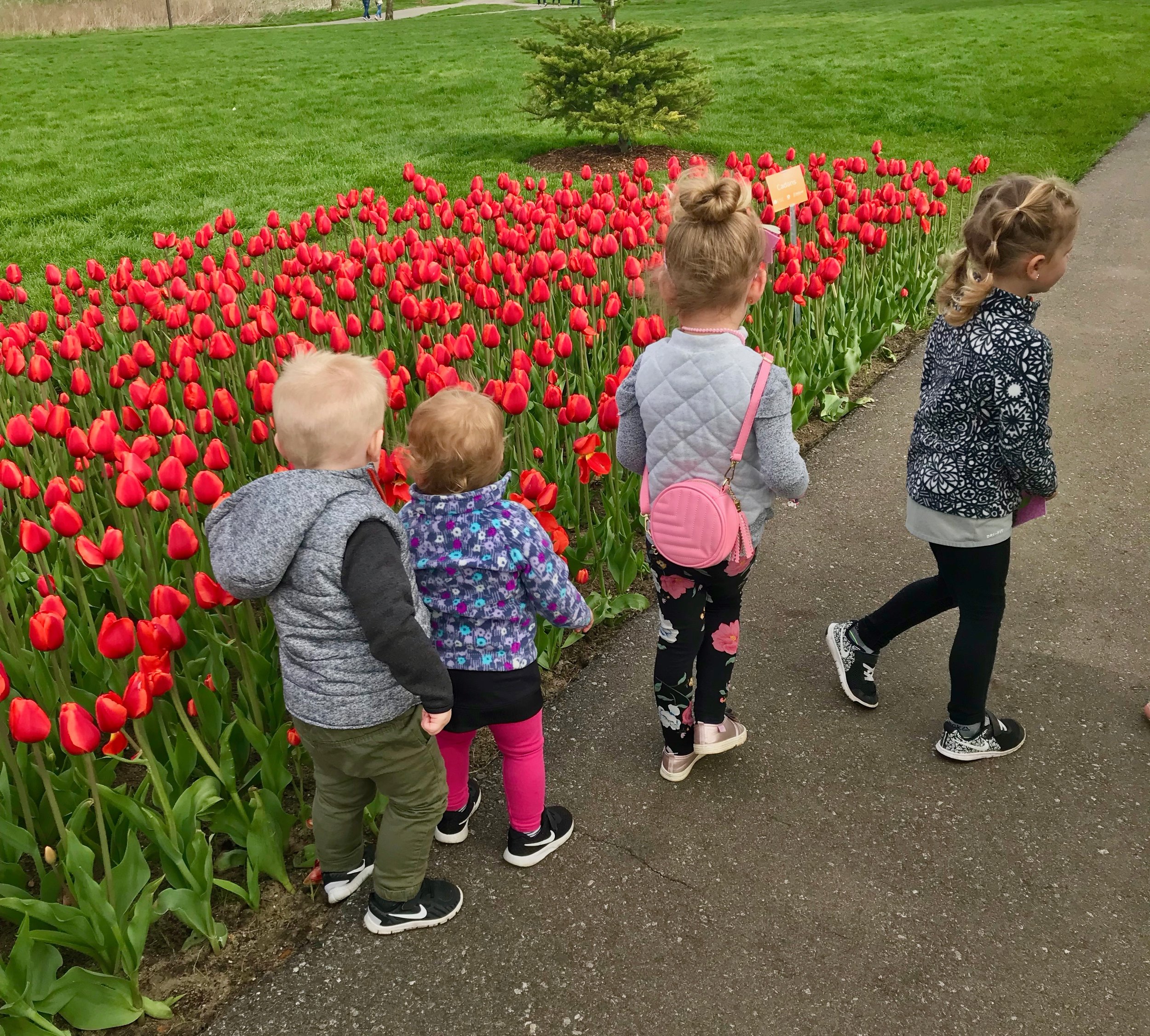 Tulip Time Kids.jpeg
