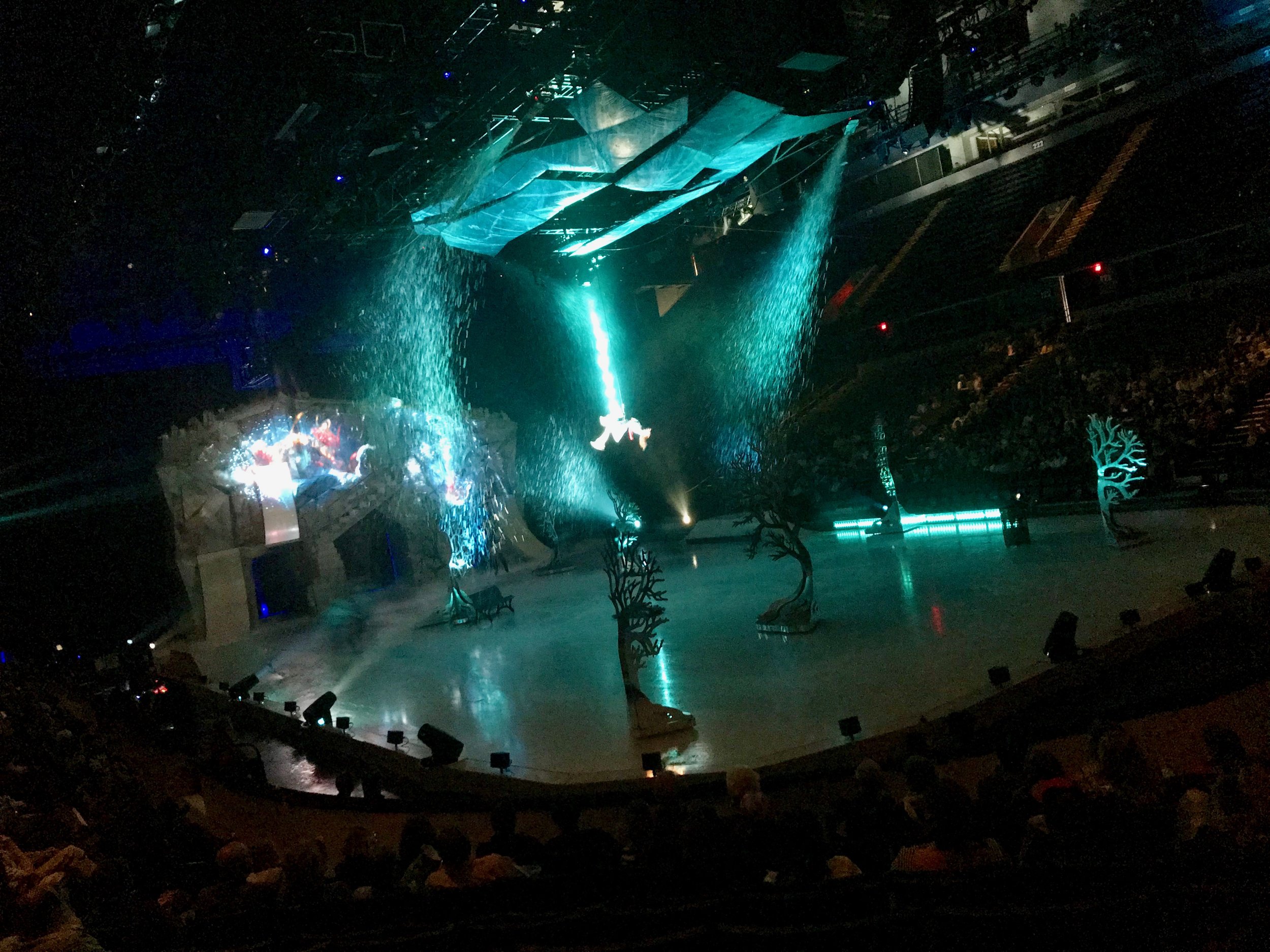 Cirque Du Soleil Crystal on ice.jpeg