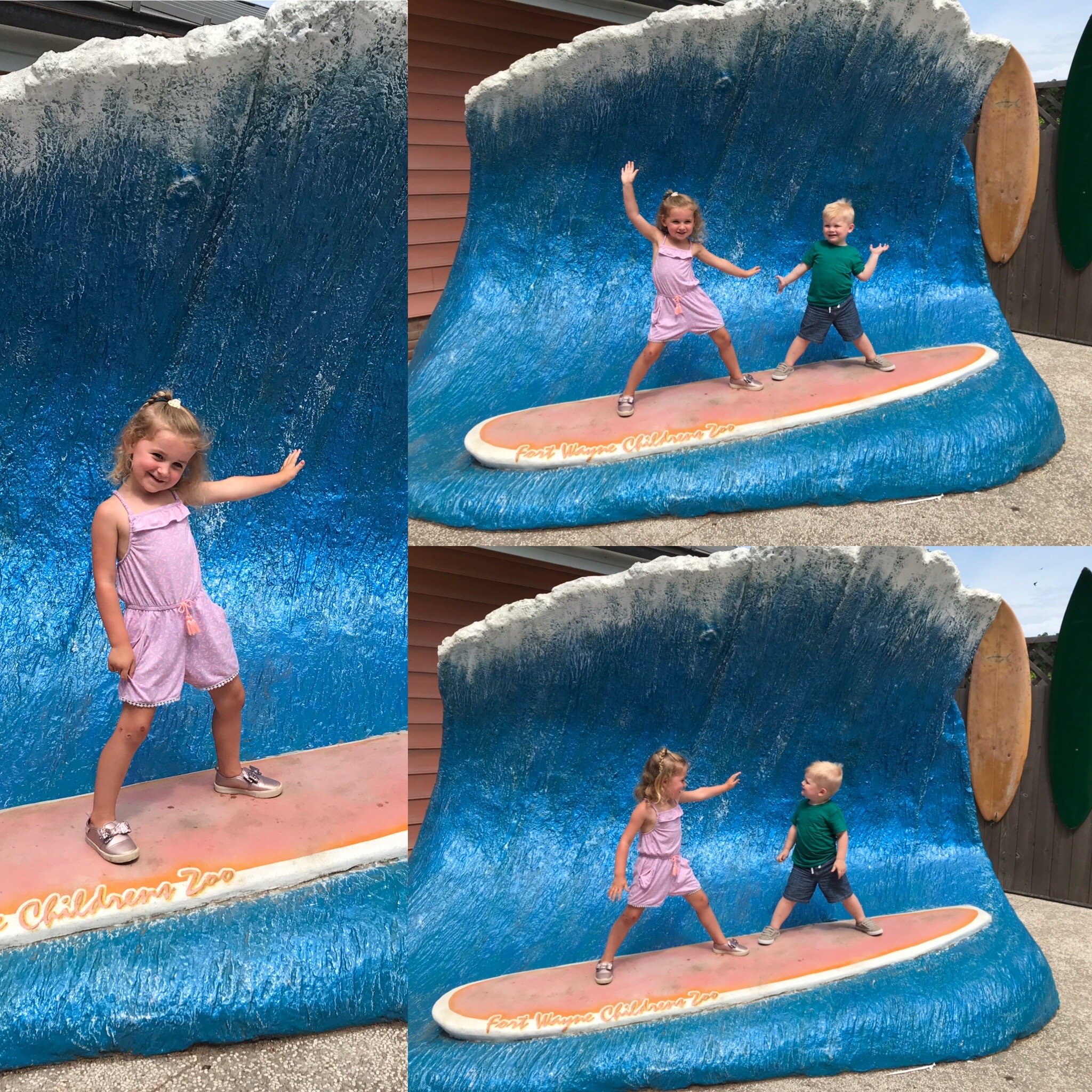 Fort Wayne Childrens Zoo surfing.jpeg