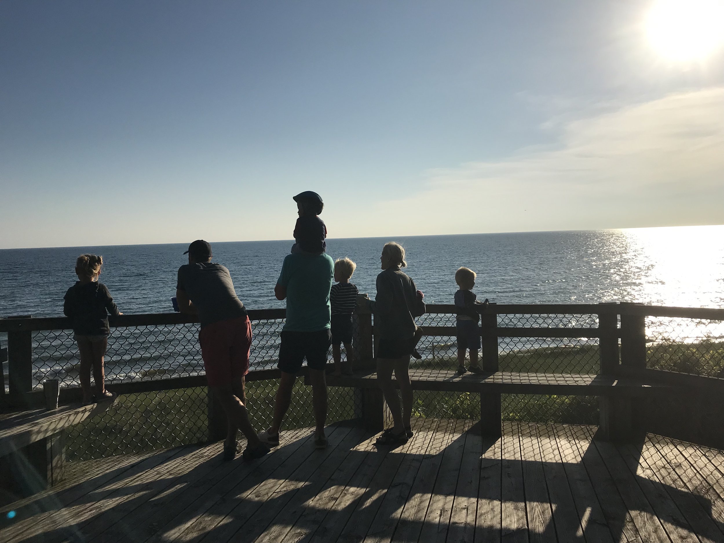 Lake Michigan overlook.jpeg