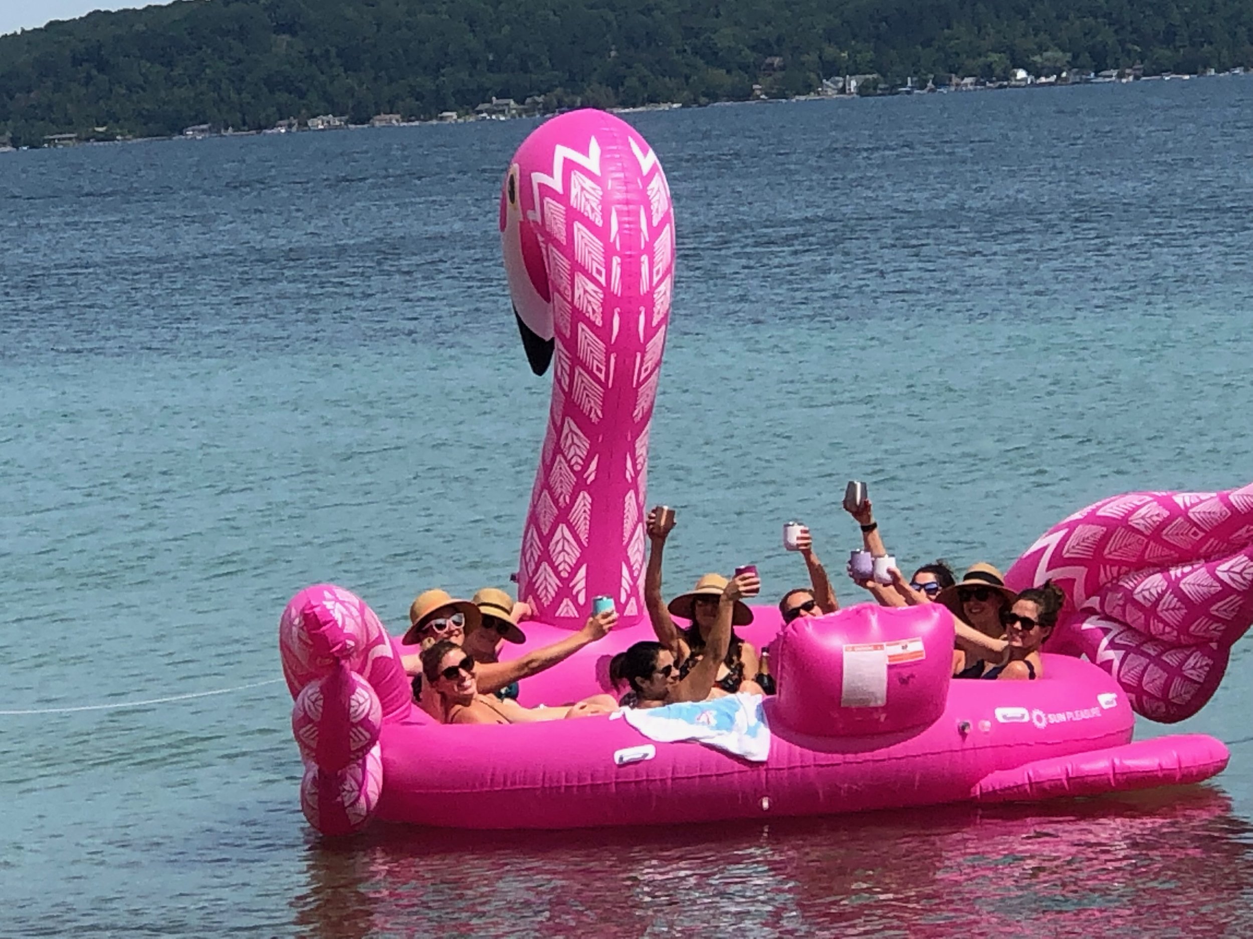 Flamingo Float.jpeg