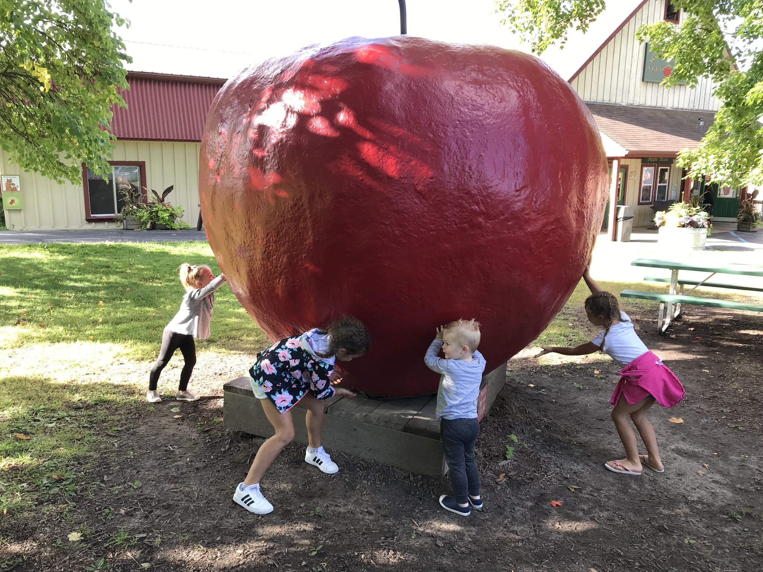 Robinettes Apple Orchard.jpeg