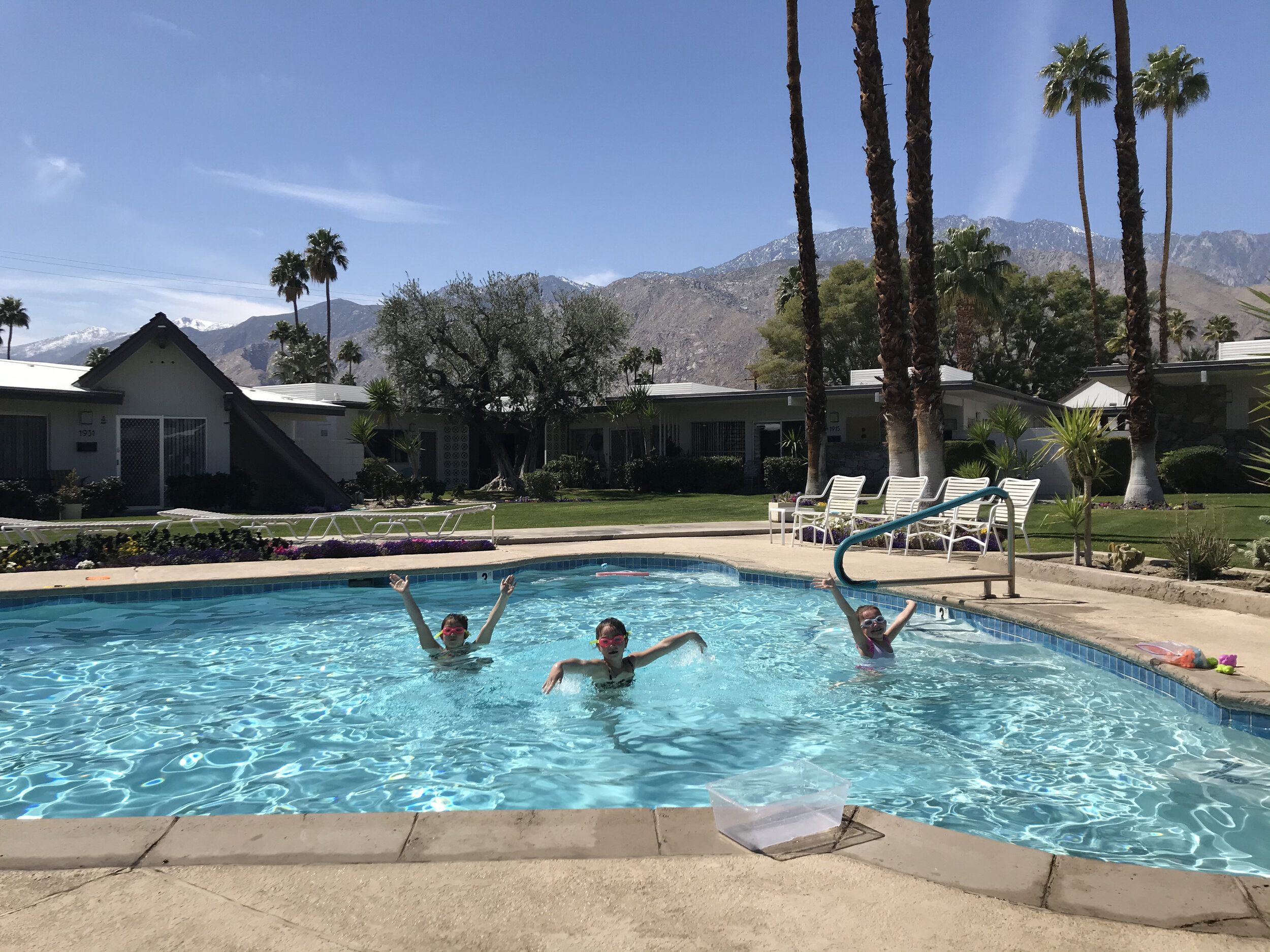 Palm springs pooltime.jpeg
