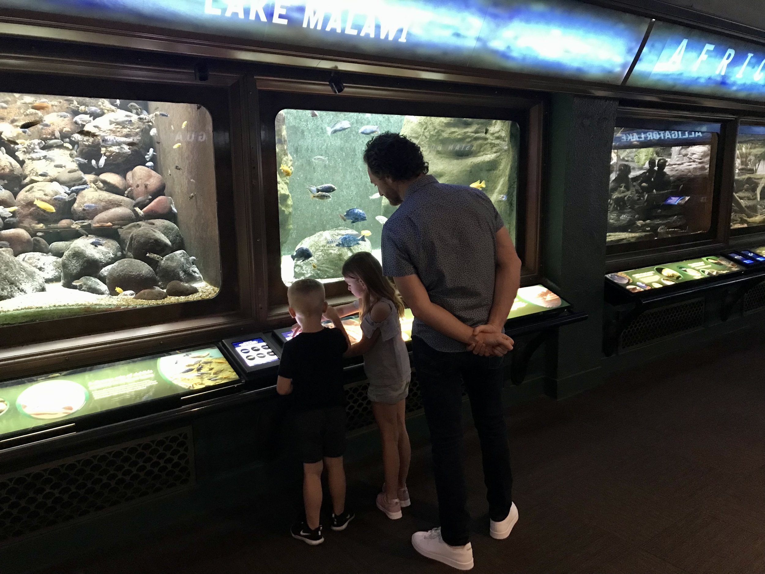 Shedd Family Trip .jpeg