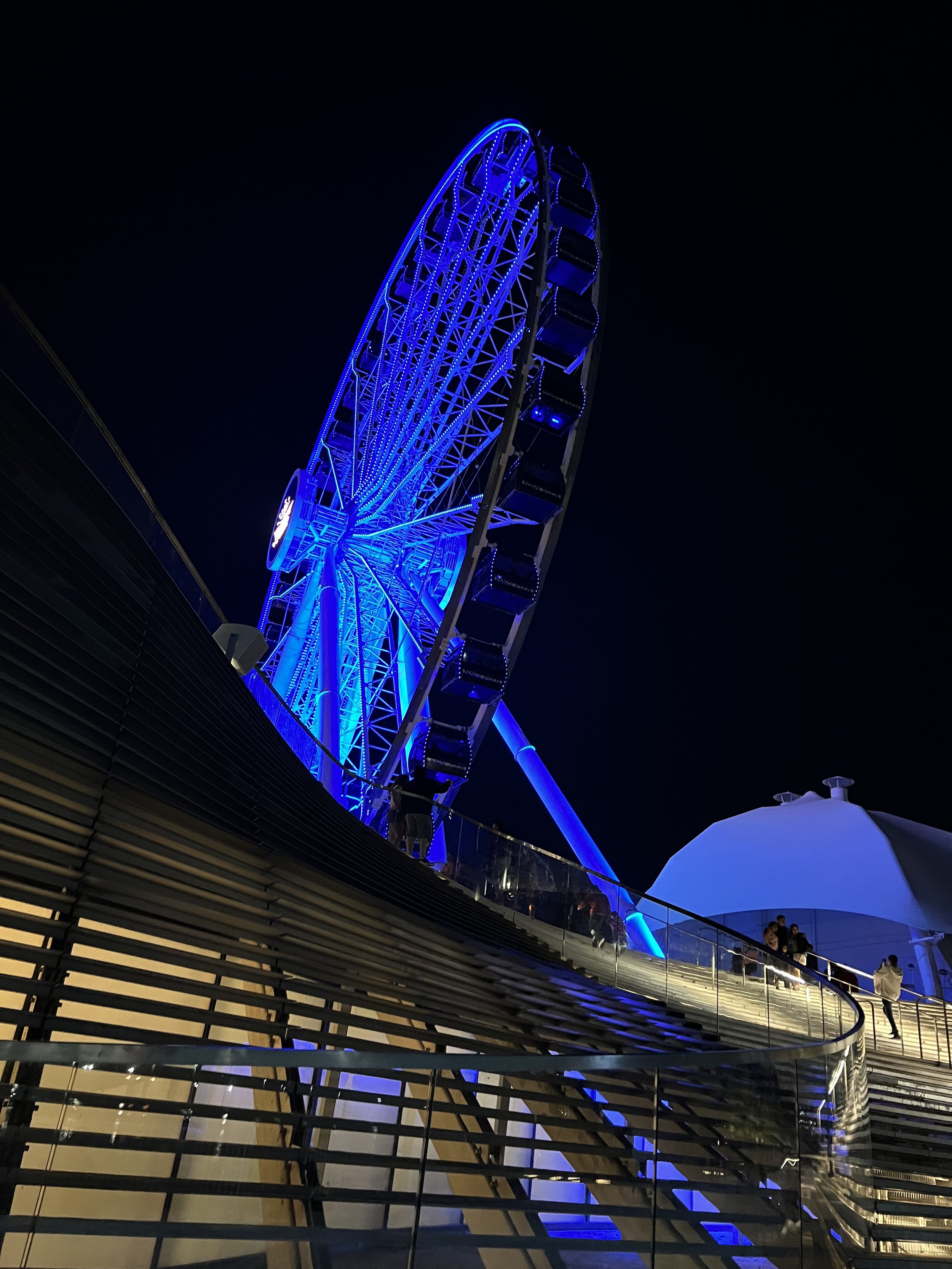 Navy Pier Ferris Wheel .jpeg