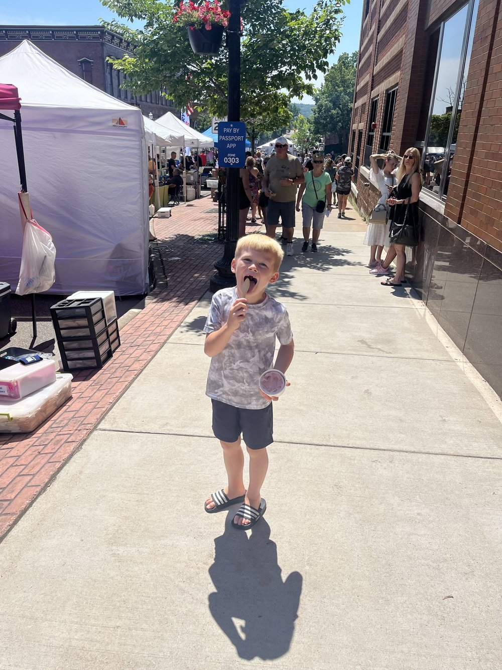 Marquette Blueberry Fest.JPEG