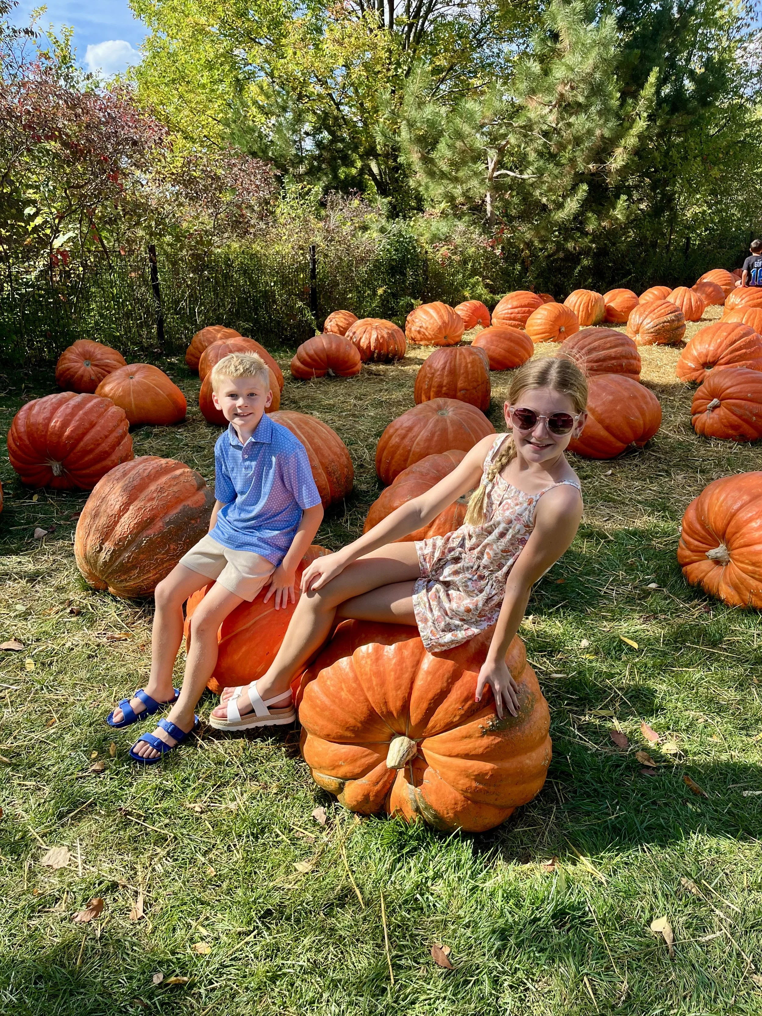 Meijer Gardens Pumpkins.jpeg
