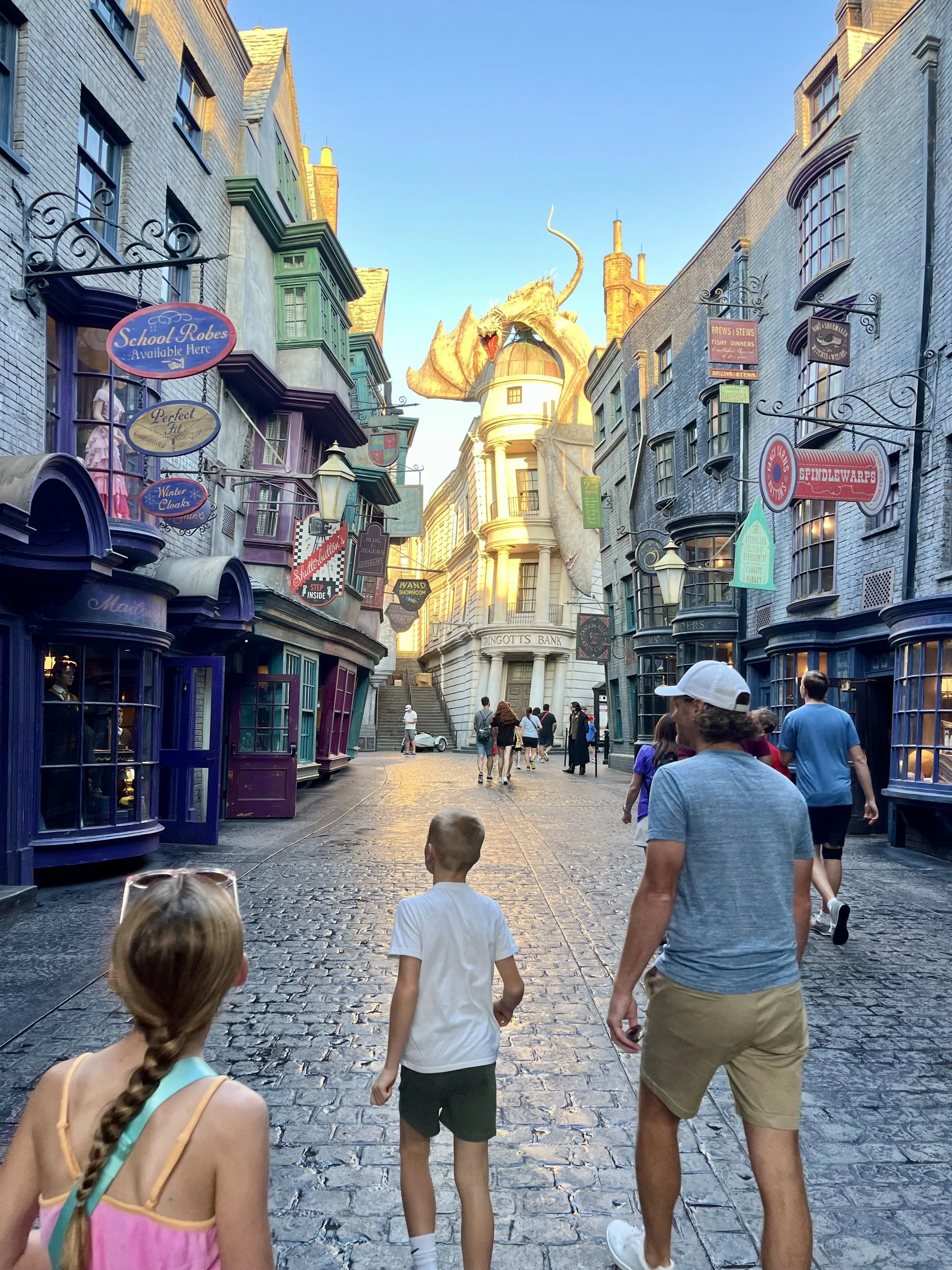 Diegon Alley .jpeg