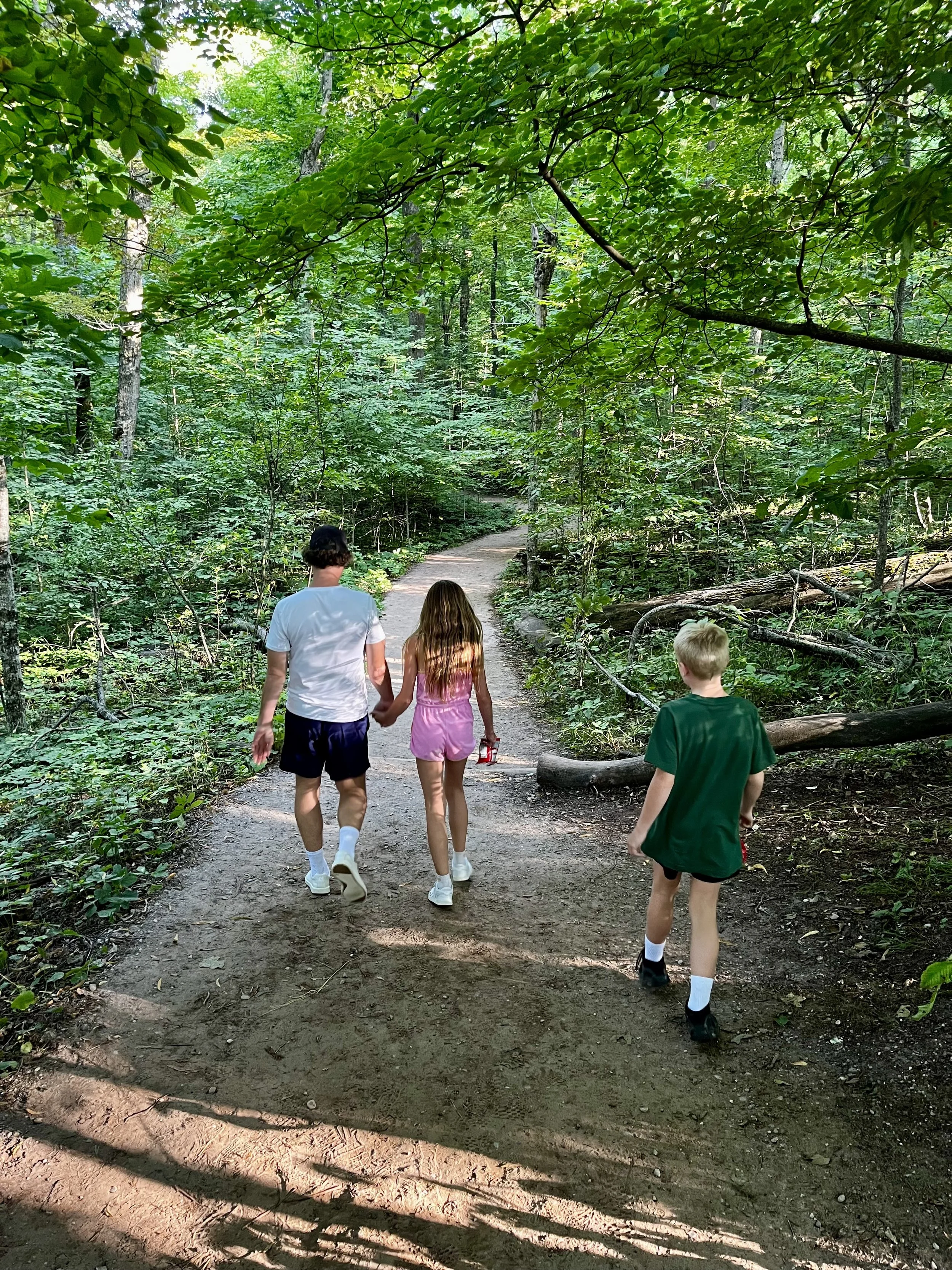 sleeping bear dunes forest hike.jpeg