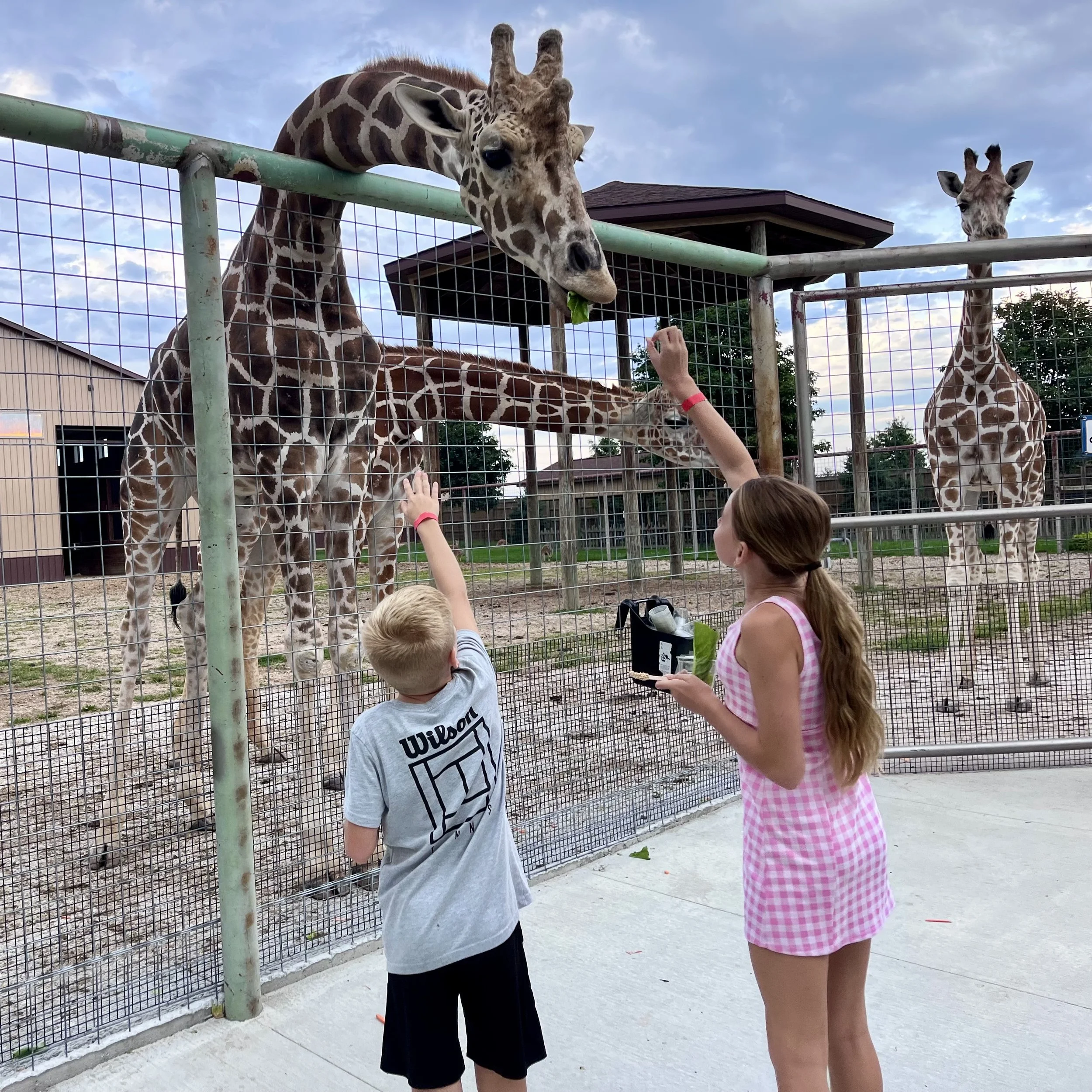 Bolder Ridge Zoo Animal park .jpeg