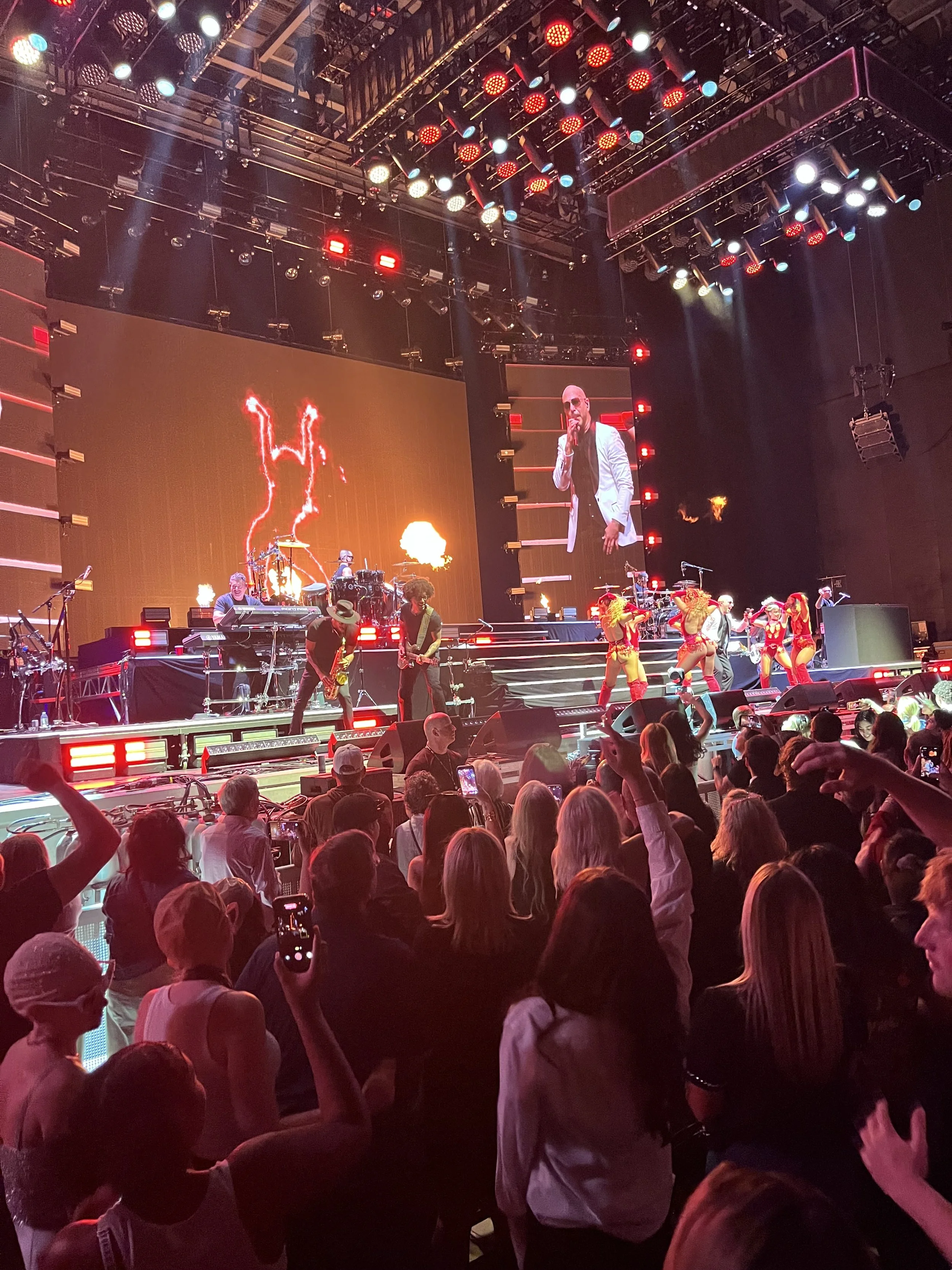 Pitbull Grand Rapids.jpeg