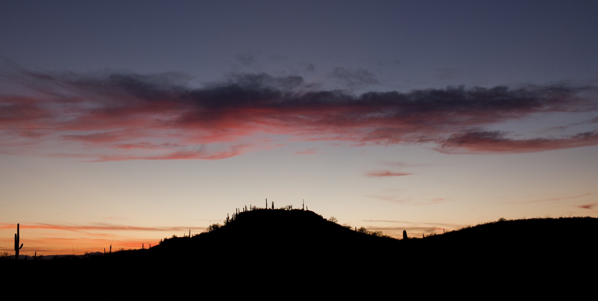 Saguaro NP Sunset.jpg