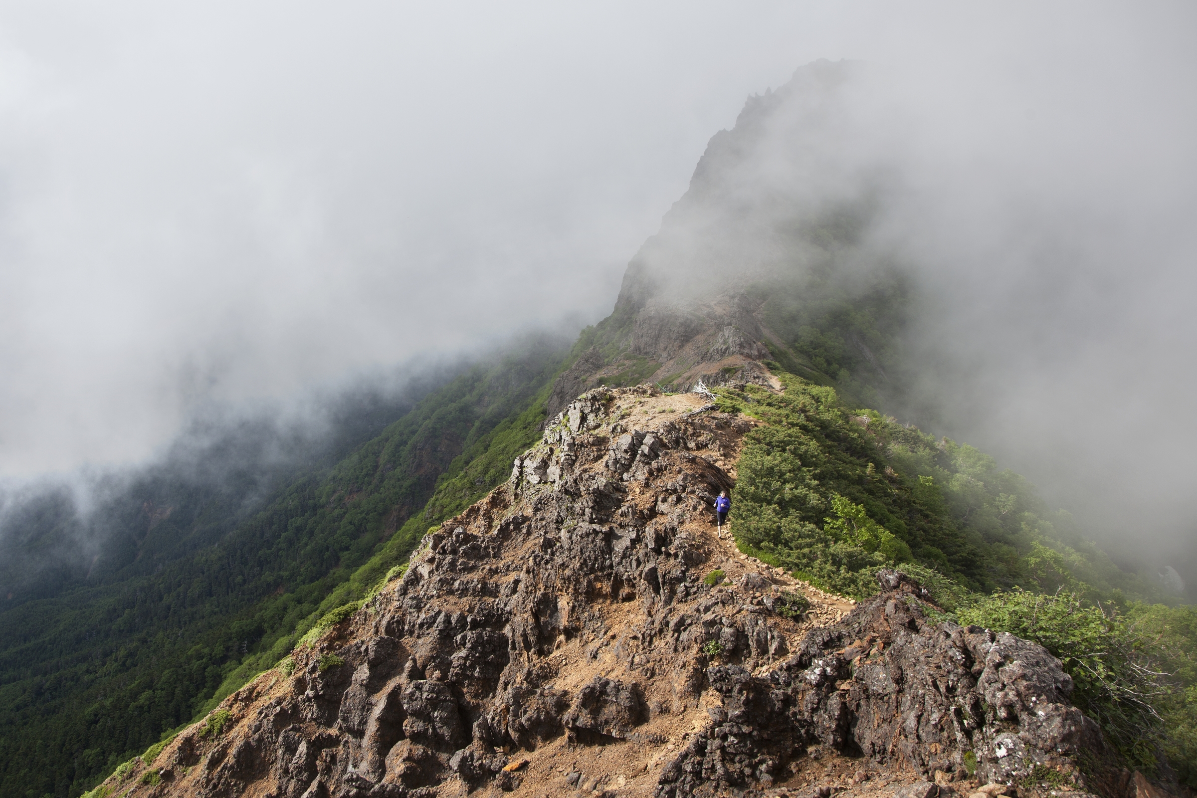 Yatsugatake-TrailRunning-7.12_6309.jpg