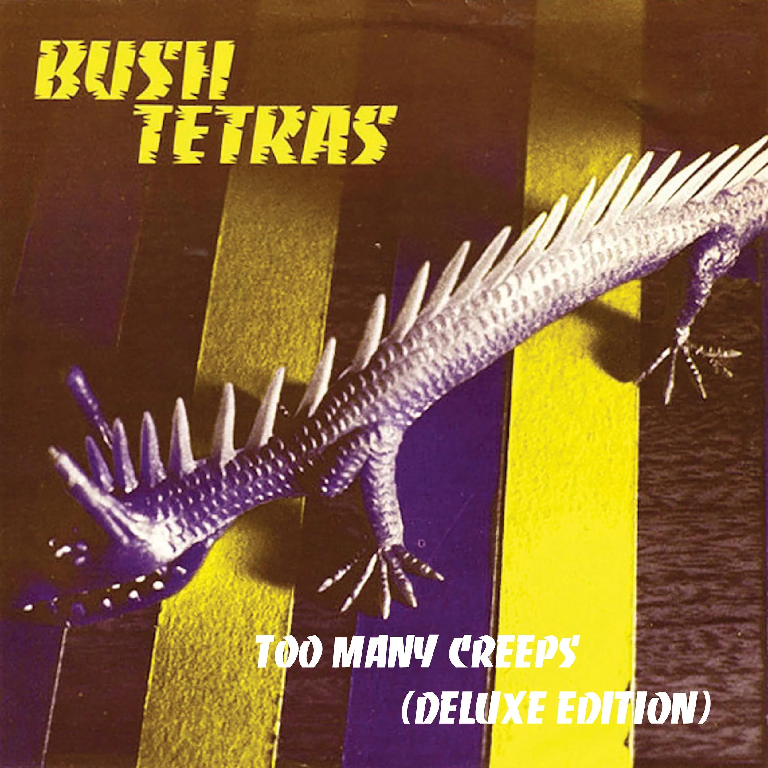 WCR 195 - Bush Tetras - COVER IMAGE.jpg