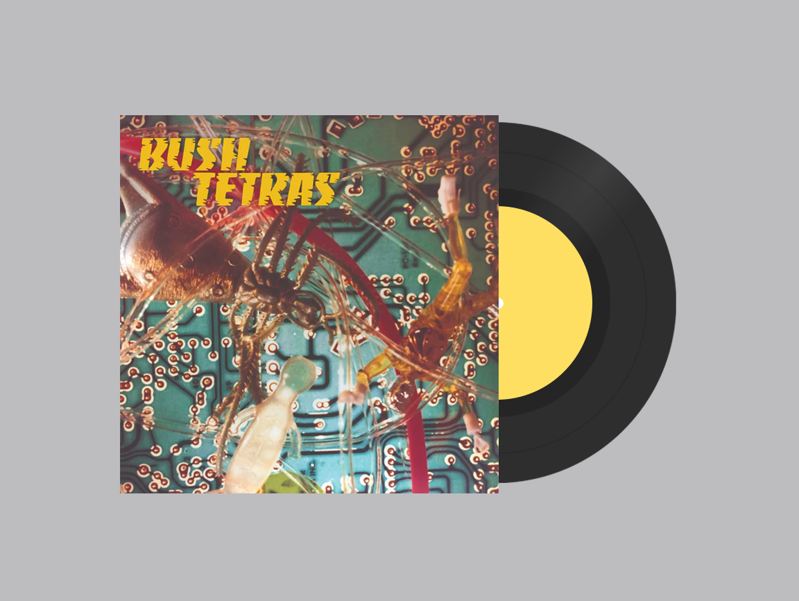 Bush Tetras - Signed Hum 7".png