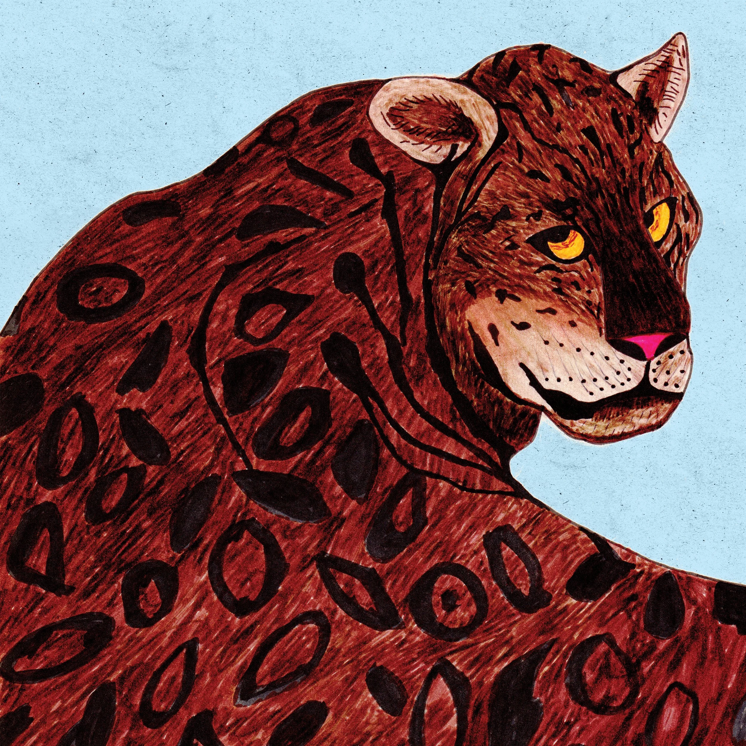 Whats This Album Cover.jpg