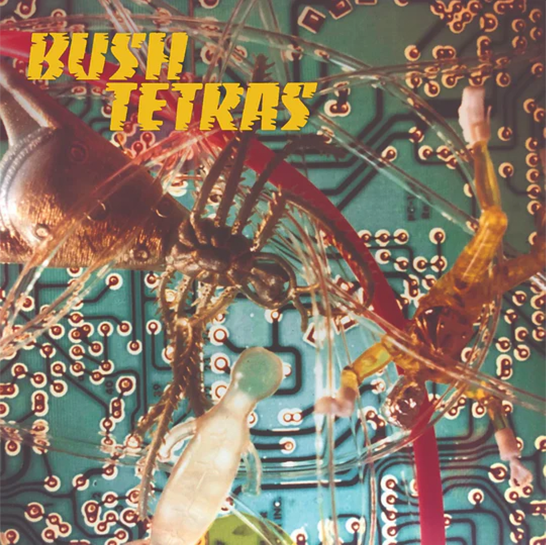 Bush Tetras - Hum 7