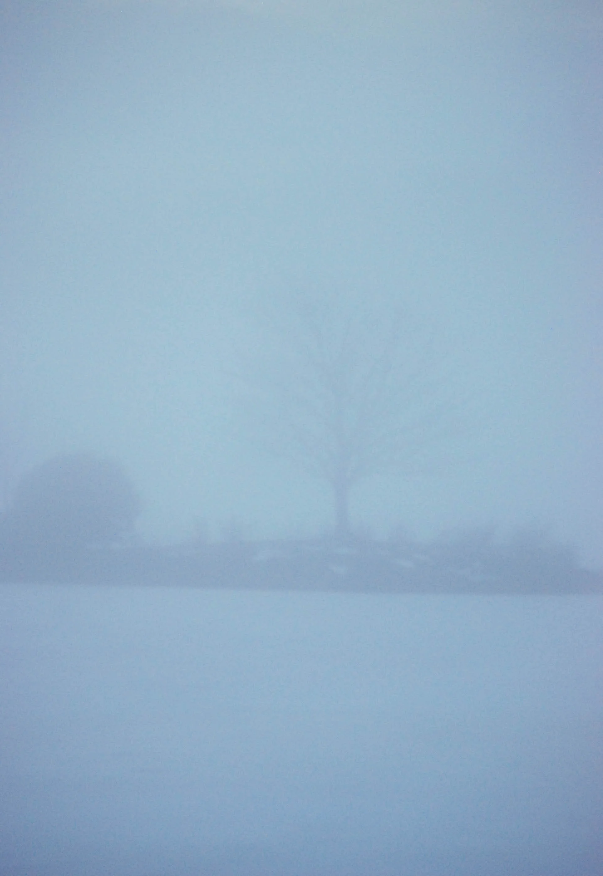 DSC_0110-2.jpg