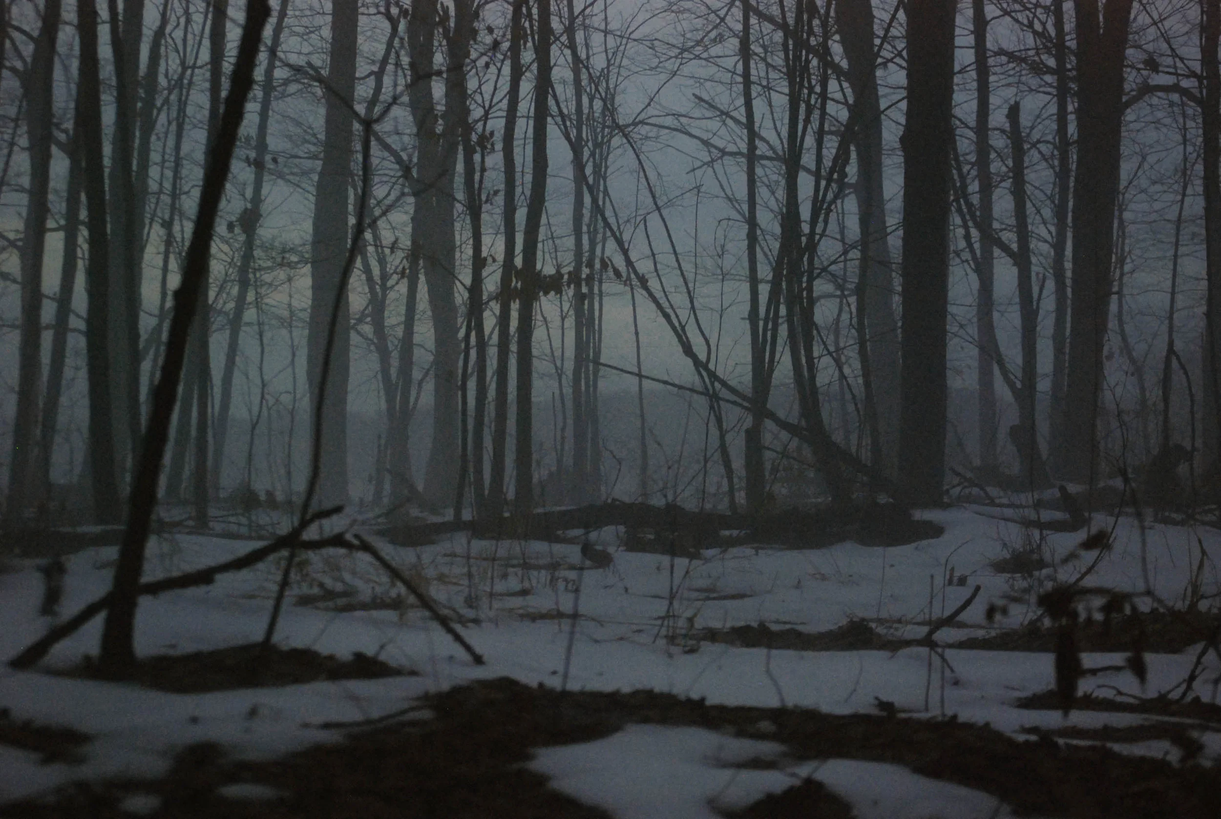 DSC_0128-2.jpg
