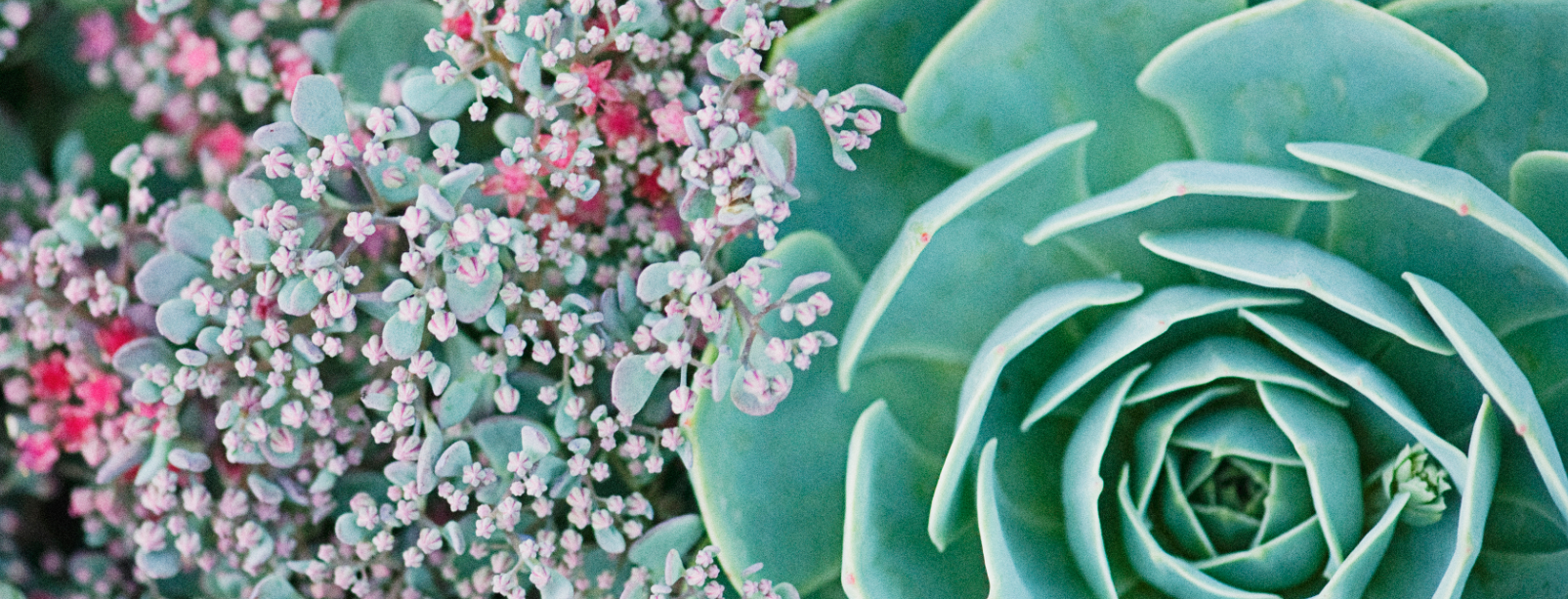 Screen Shot 2013-04-02 at 3.04.46 PM.png