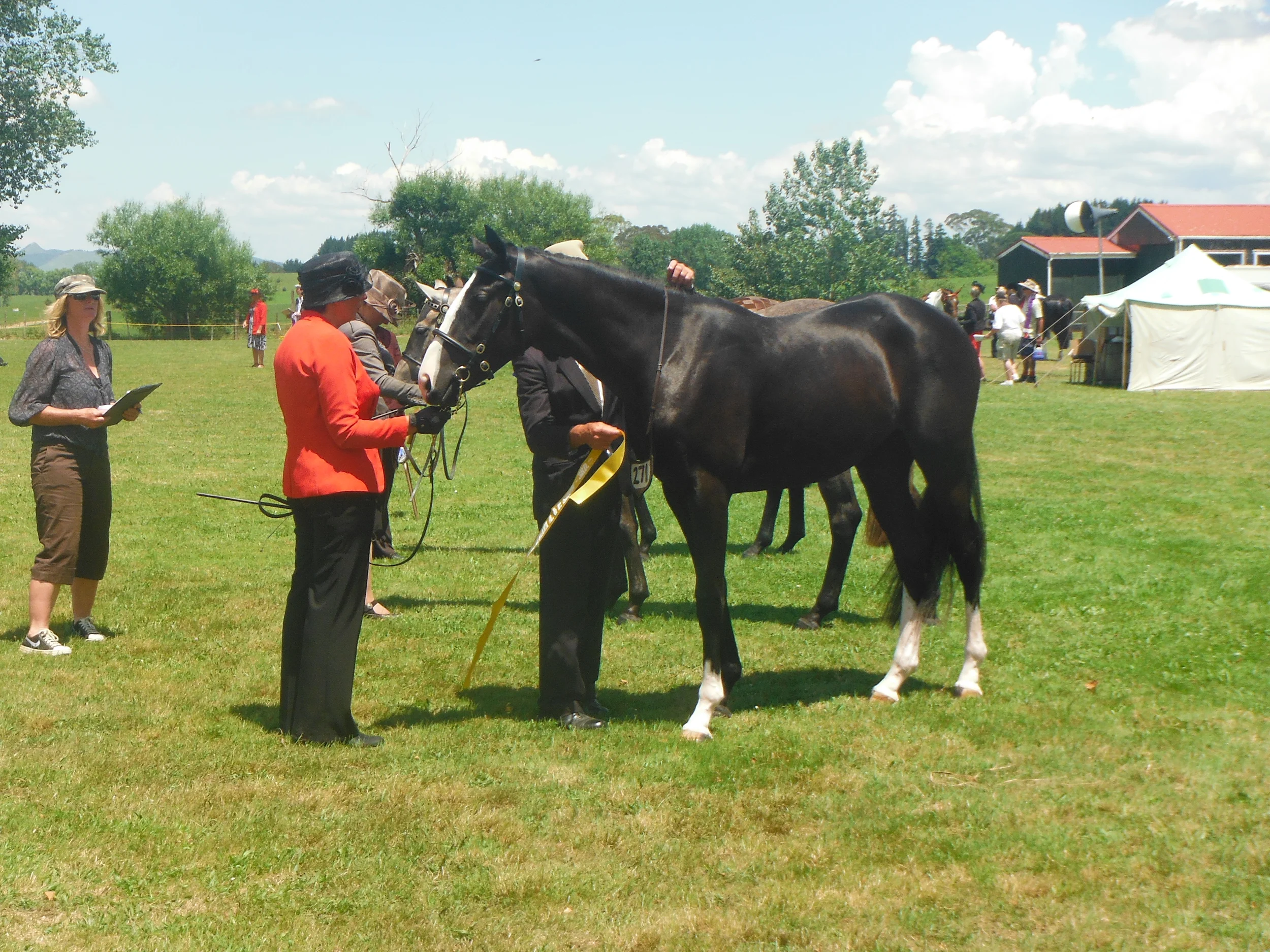 DSCF0125.JPG