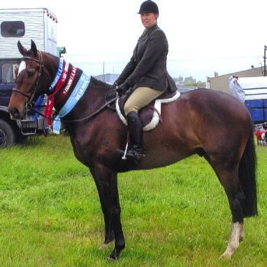 Sirocco El Cid - Reserve Champion&nbsp;Novice Saddle Hunter at Fielding in 2009