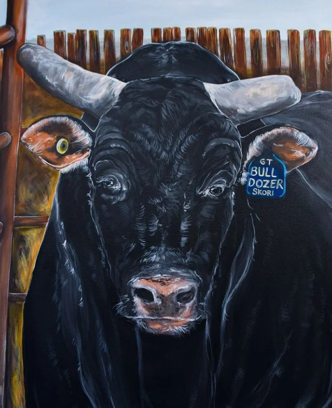Bull Dozer