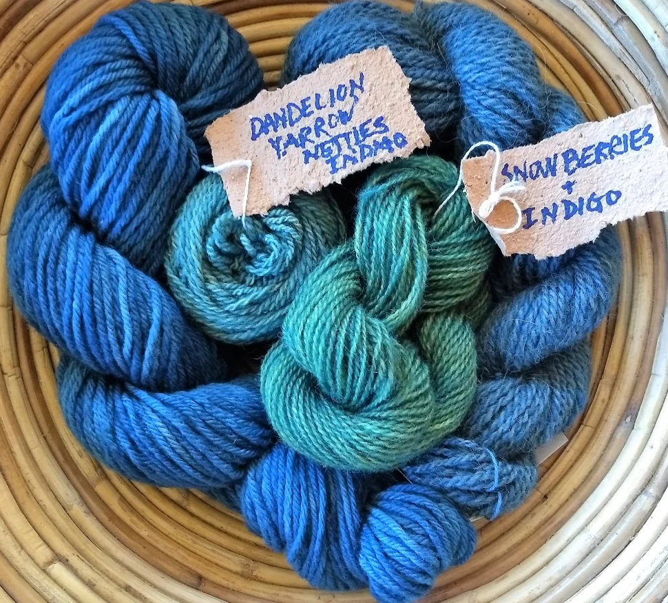 Dyeing with Japanese Indigo