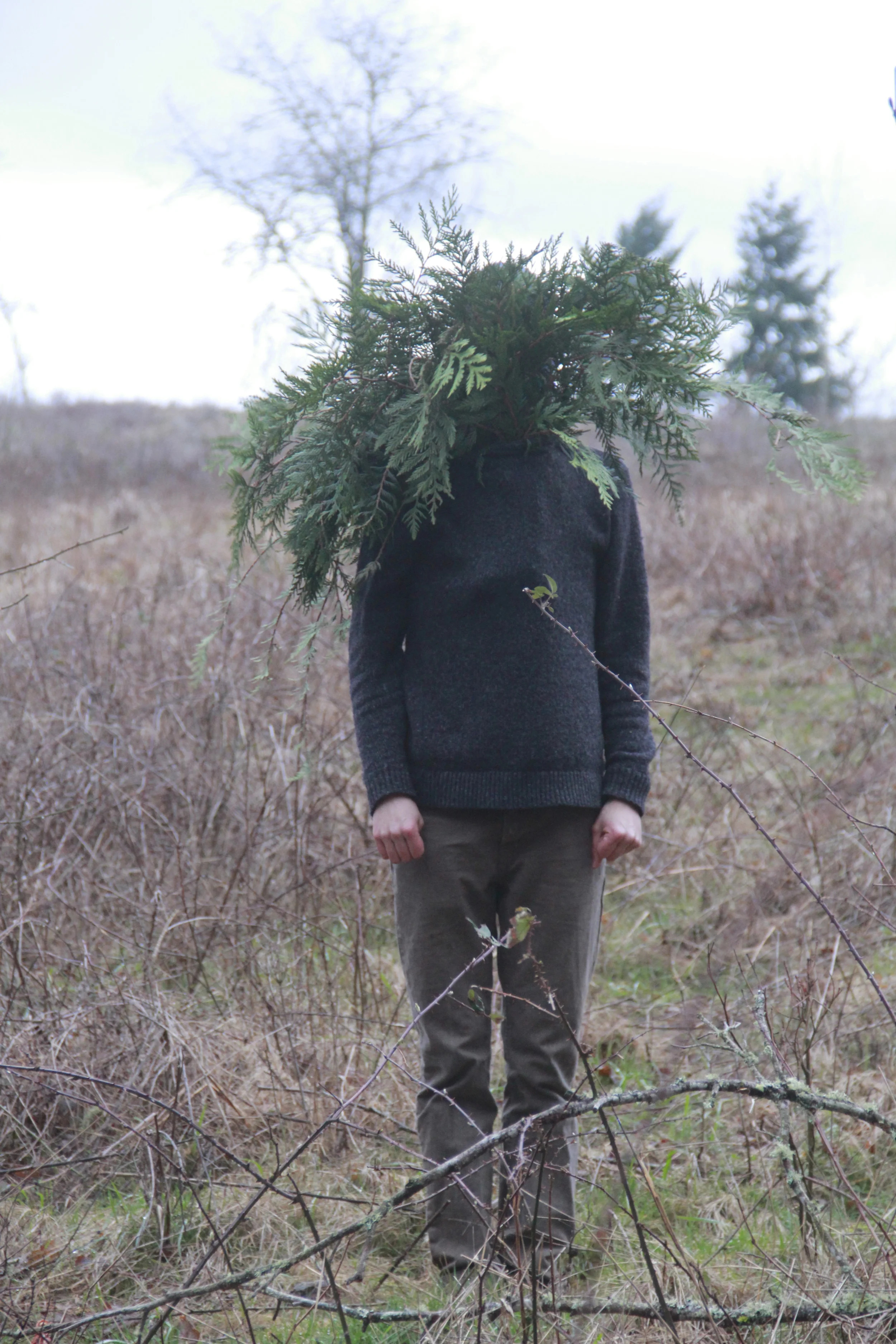 green man ii: cedar