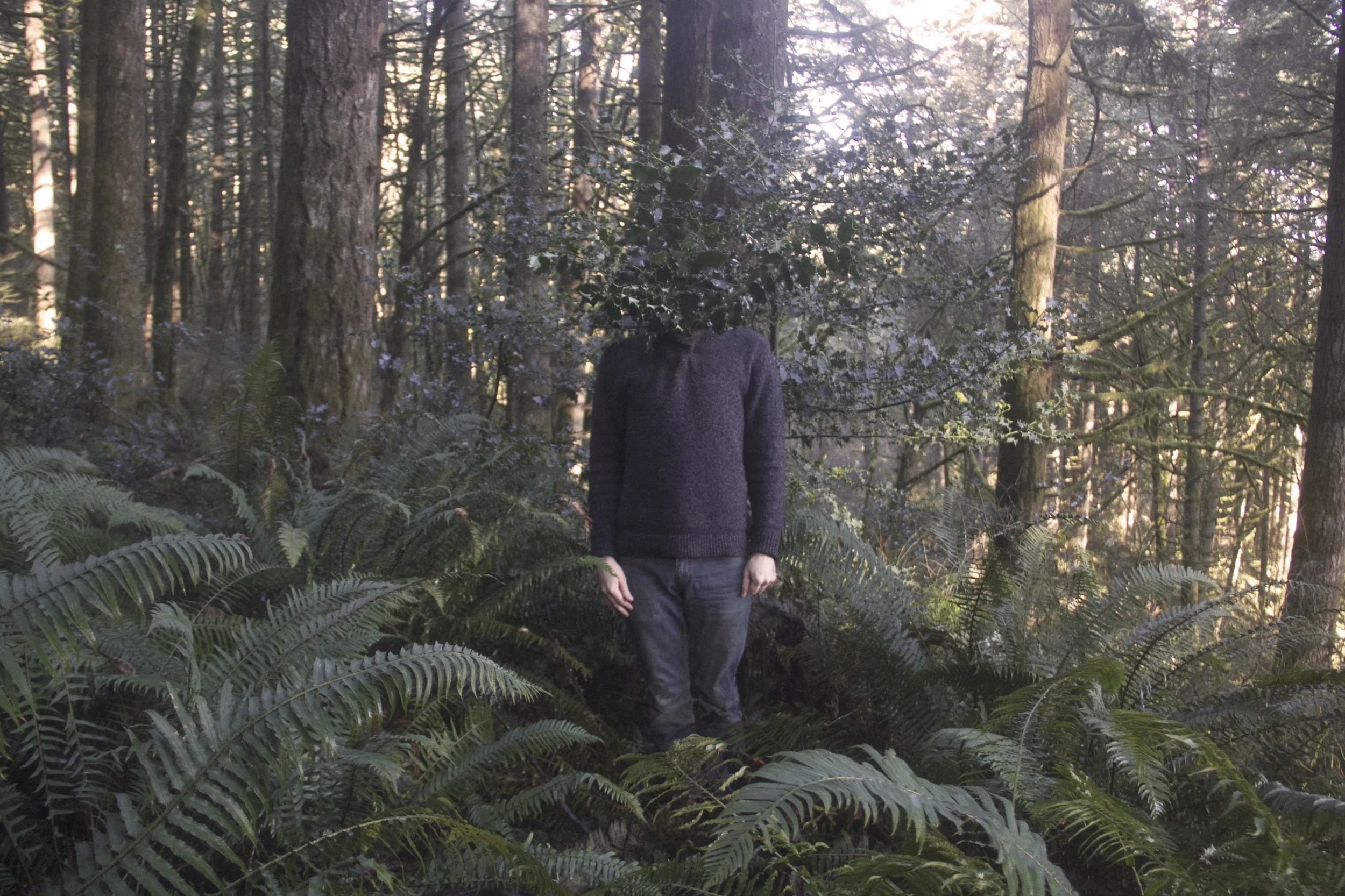 green man xi: holly