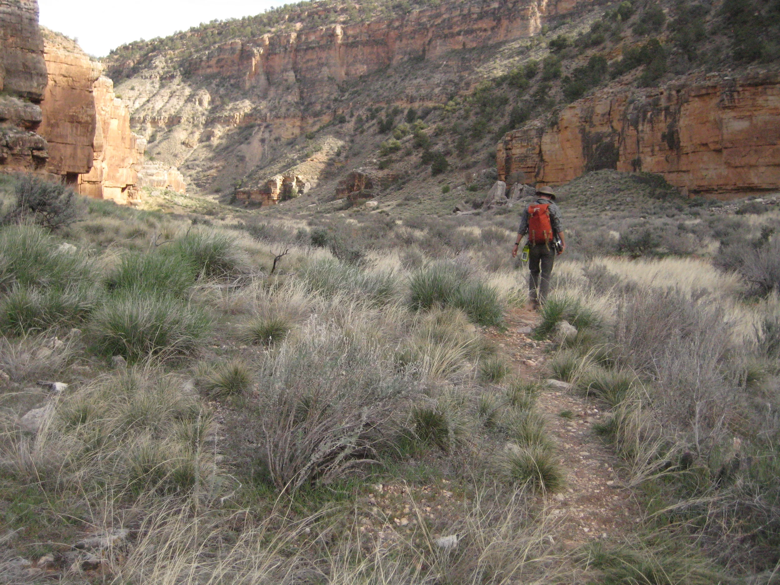 Snake Gulch, Arizona
