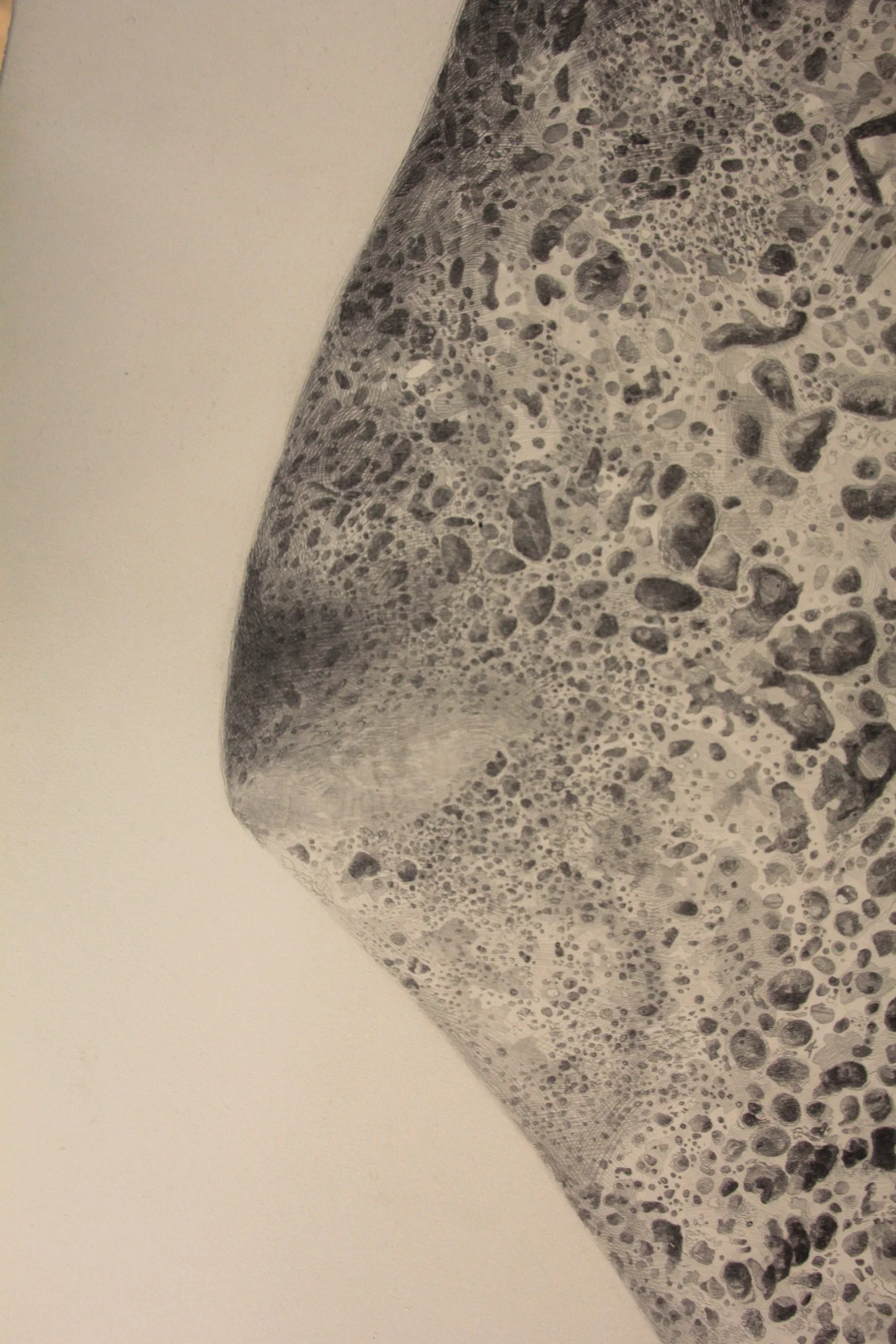 lith i (detail)