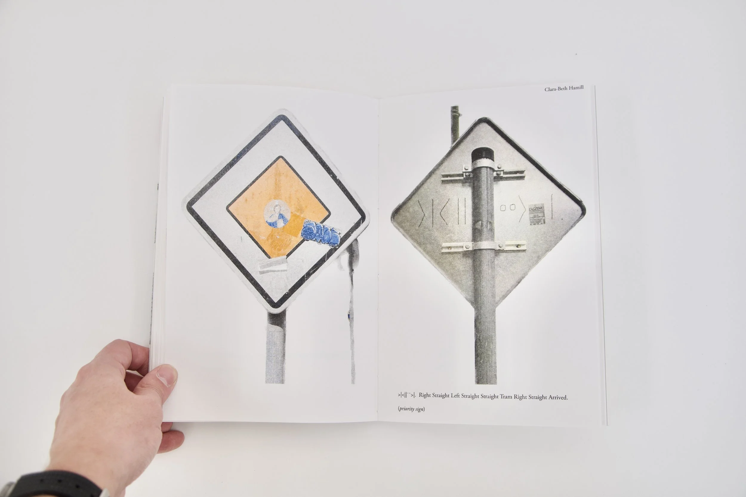 Microscripts (after Walser) (open)