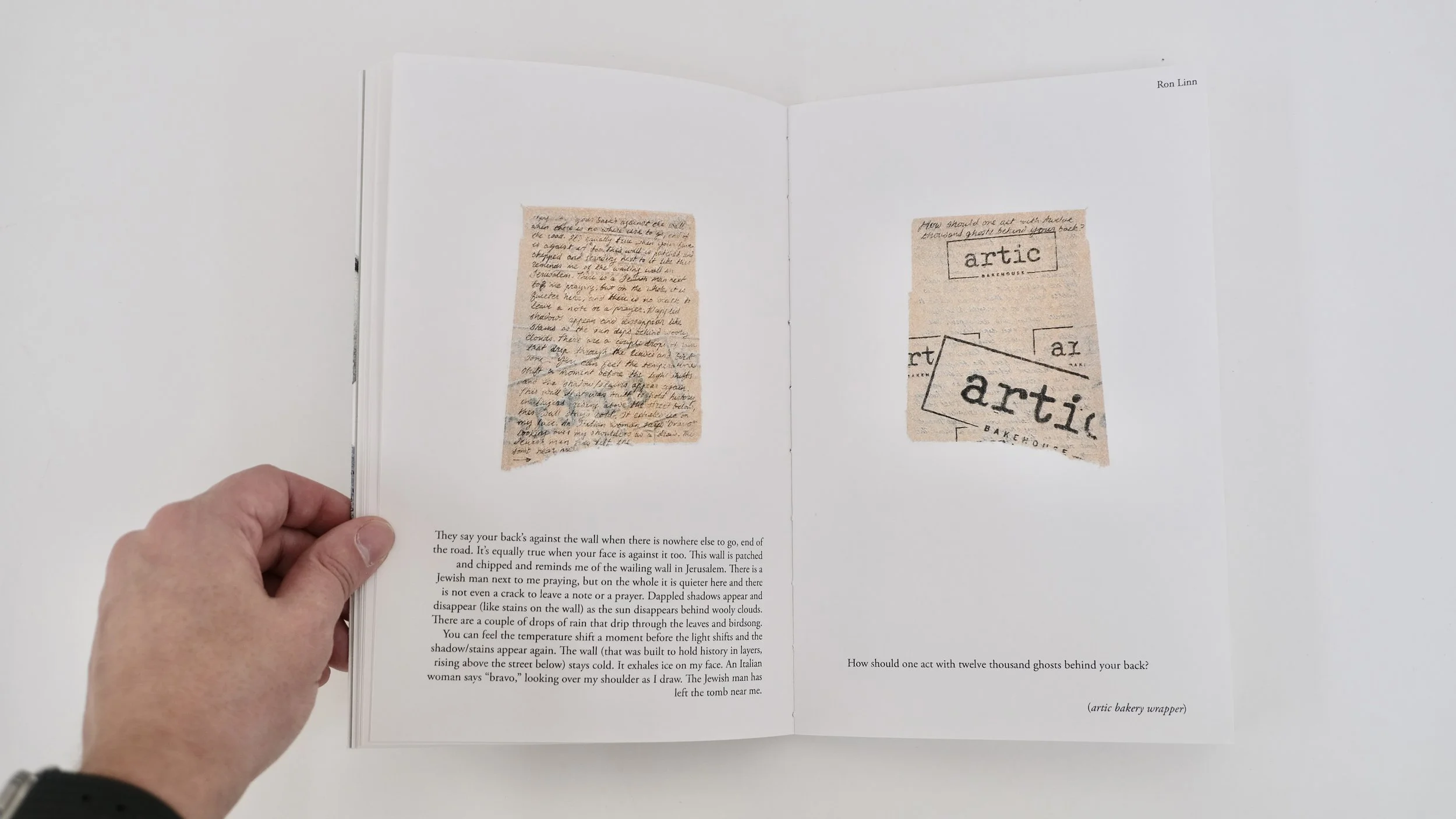 Microscripts (after Walser)