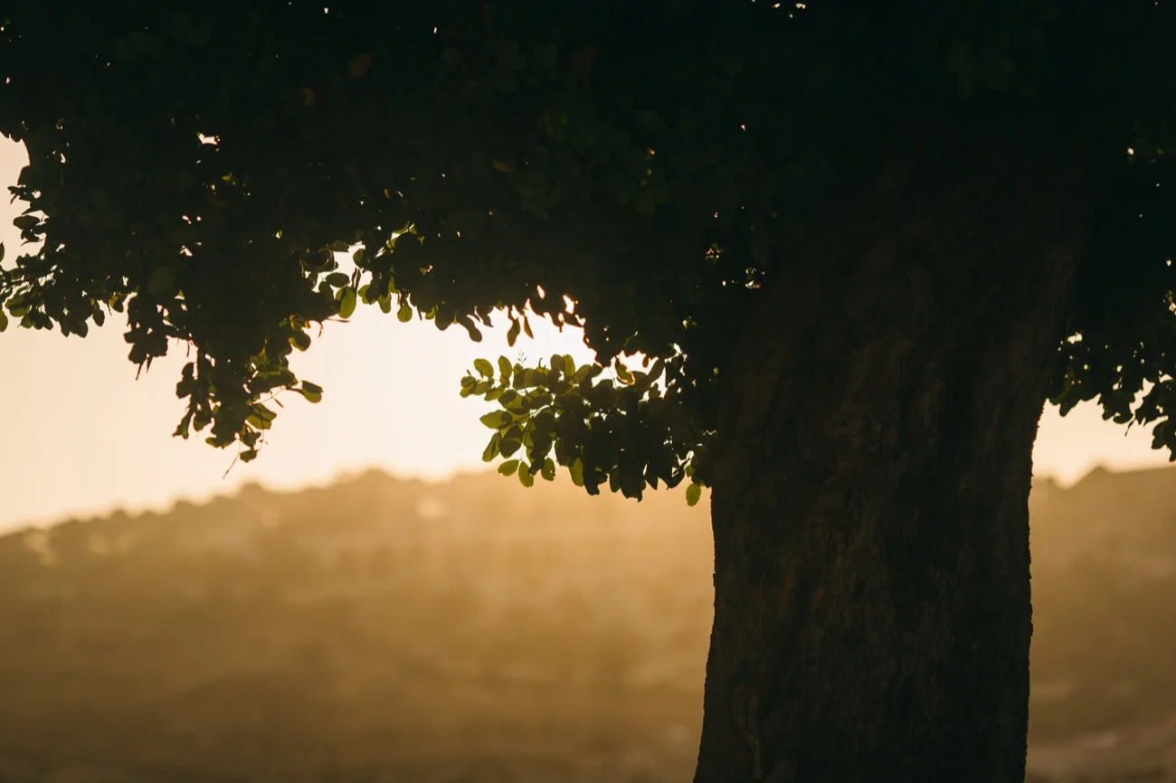 Israel CC Part 2-436.jpg