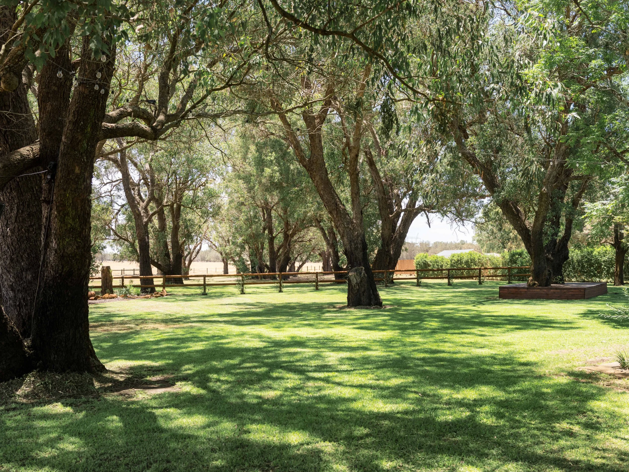 Michael & Amelia-4.JPG