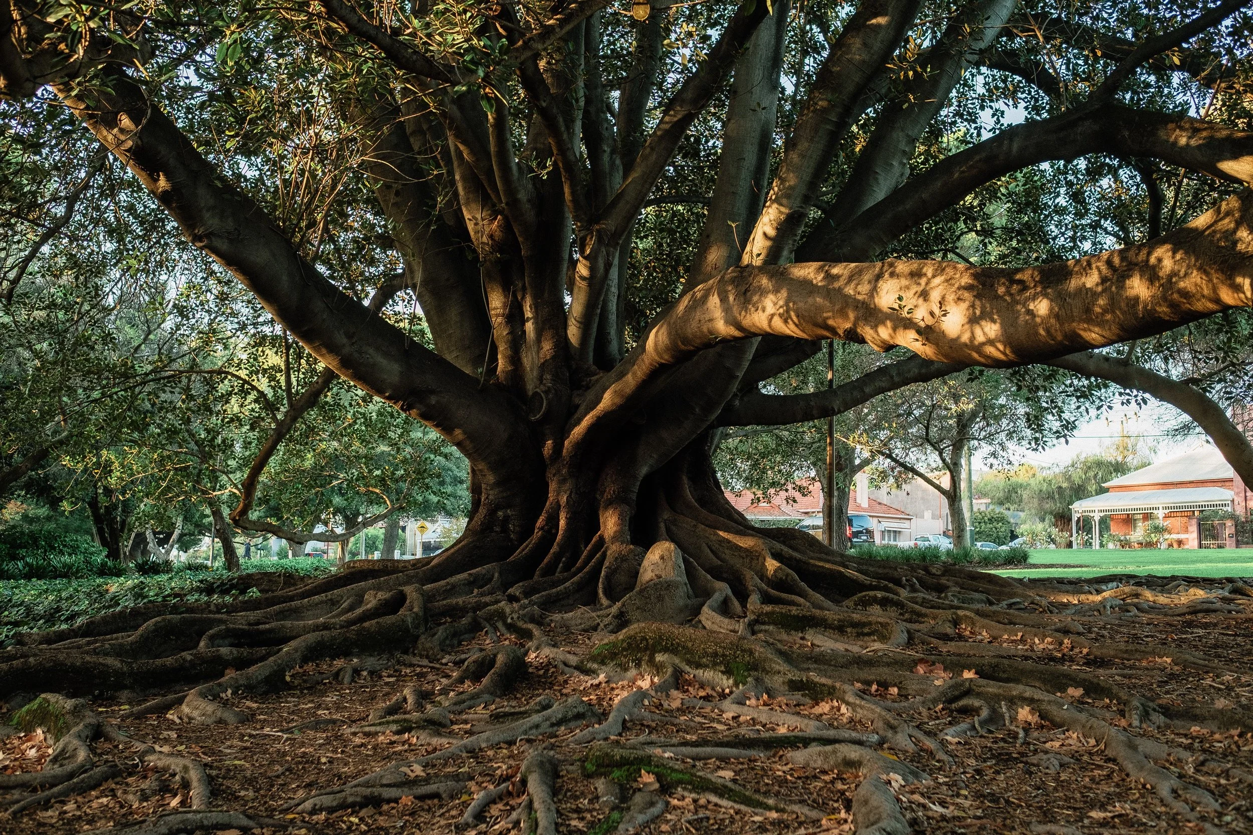 Ken's Proposal-1.JPG