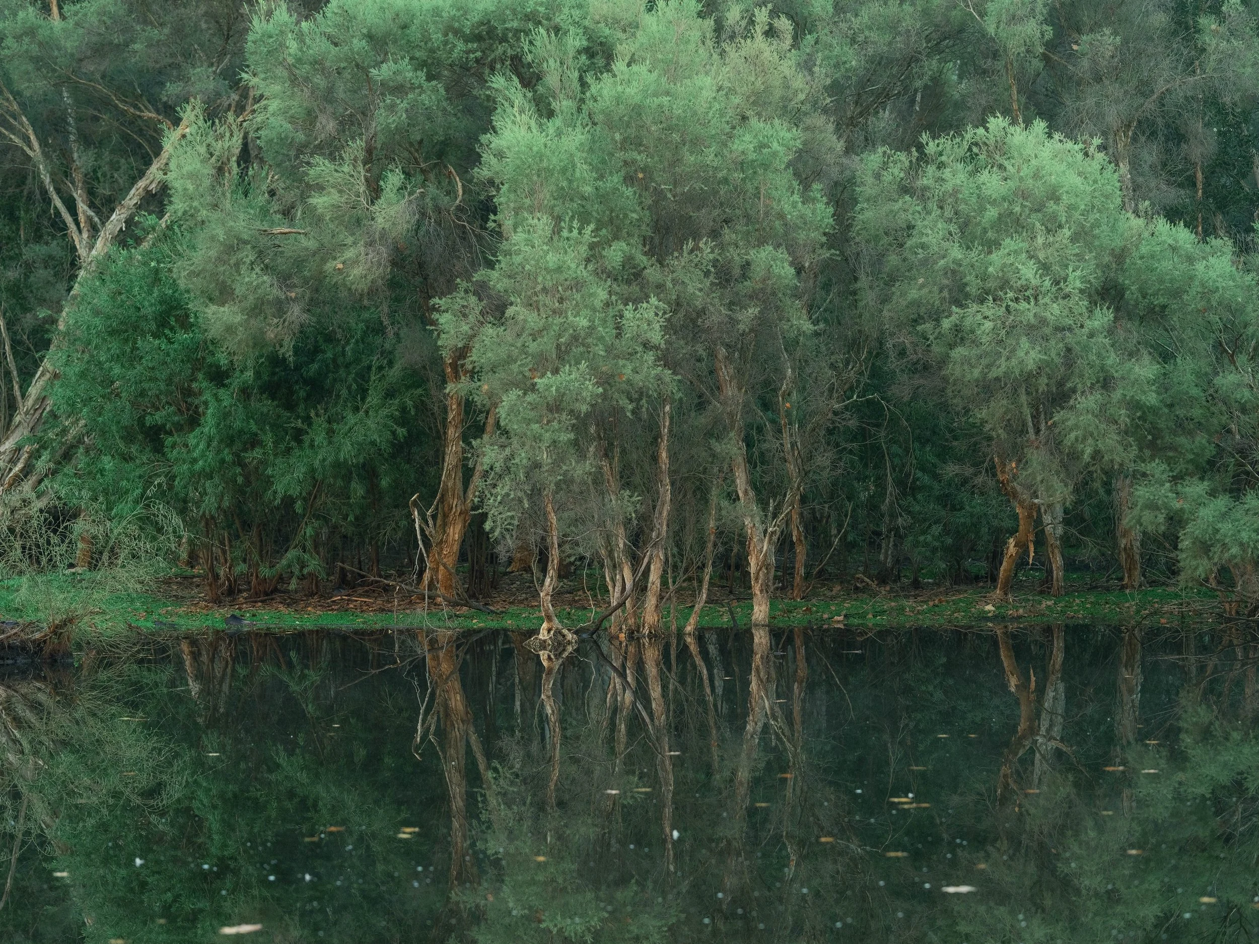 Ken's Proposal-2.JPG