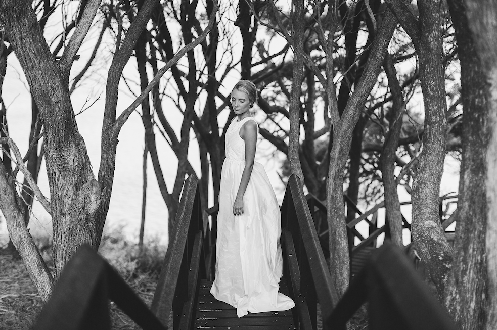 Screenshot 2026-02-23 at 3.10.42 pm.png