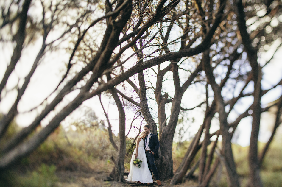 Screenshot 2026-02-23 at 3.10.21 pm.png