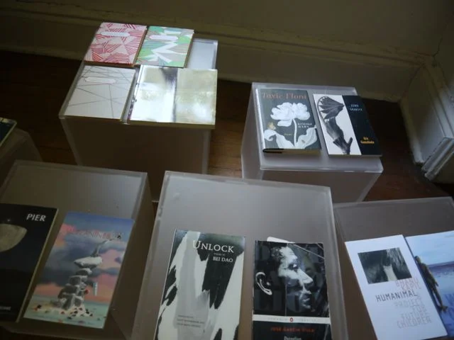 P1000409.jpg