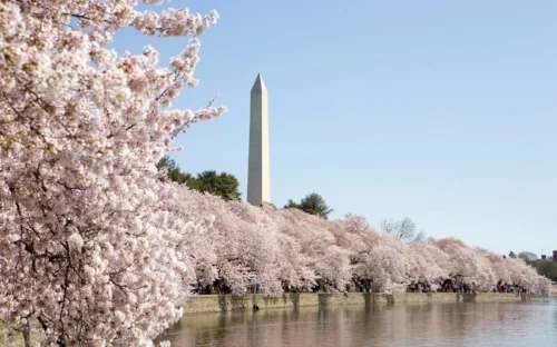 green0514-10-washington-dc.jpg