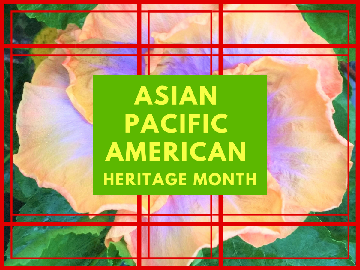 APA Heritage Month Banner Image 2.png