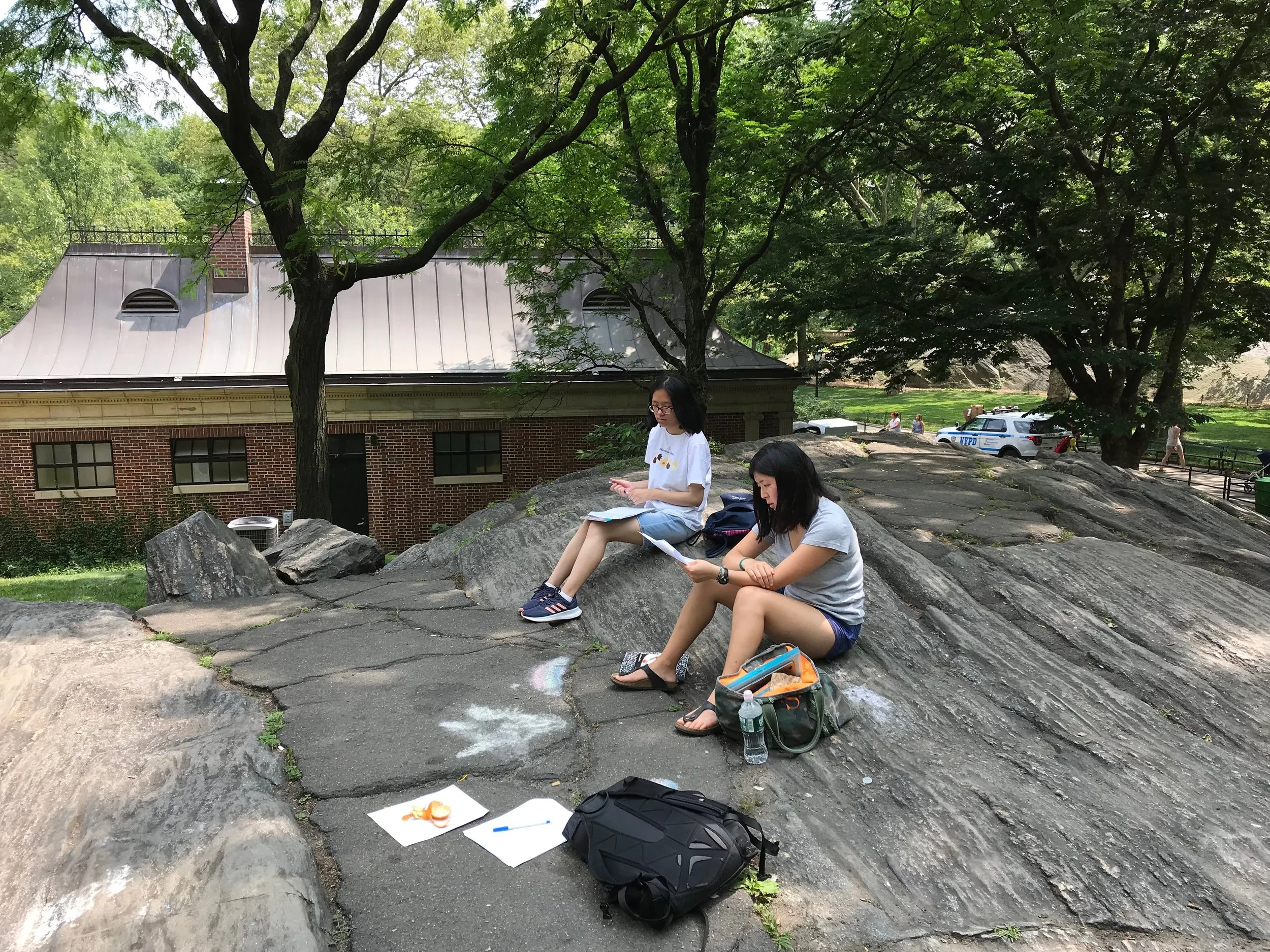 Olivia Hom and Sarah Huang write in Central Park.