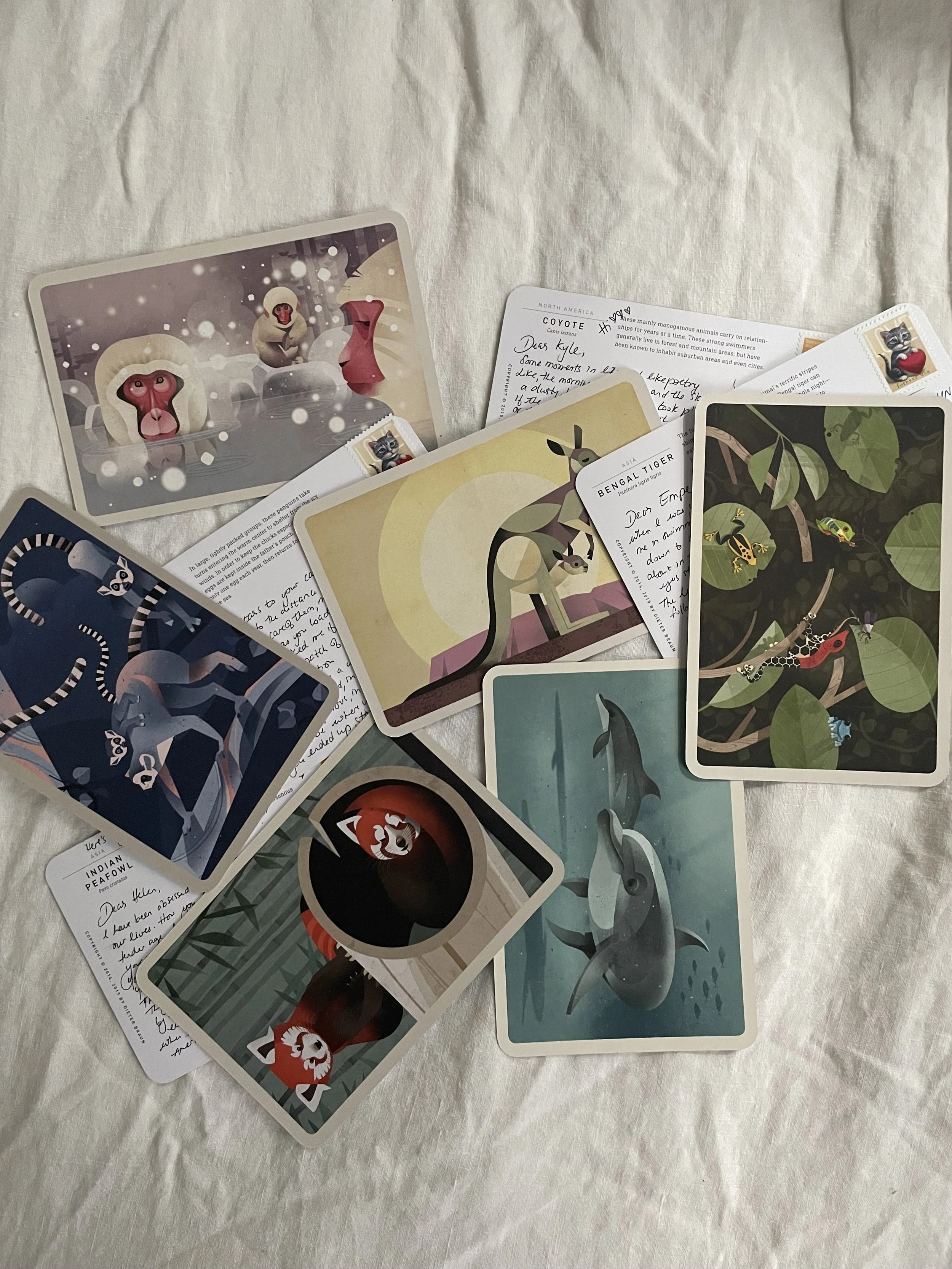 Week 4_Shirley Cai_7.jpeg