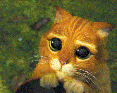 Puppy dog eyes.gif