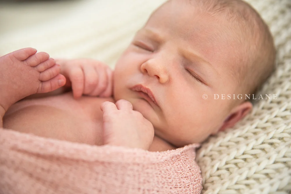 Evie-11.jpg